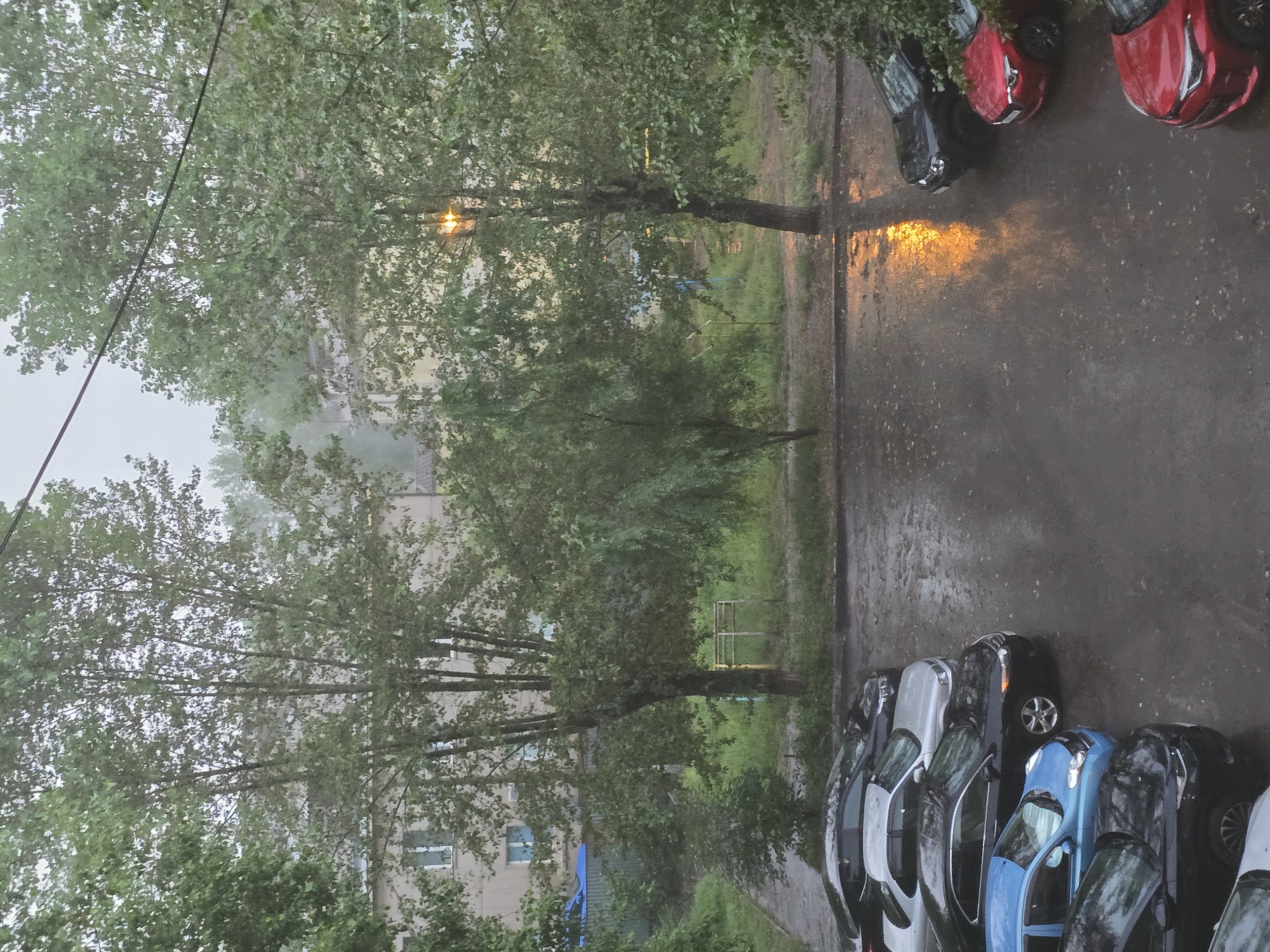 The image depicts a rainy day in a city environment. In the foreground, a row of parked cars is visible on a wet asphalt surface, reflecting the dim light. These include a black sedan, a silver sedan, a dark blue sedan, and at the far right, two red SUVs. The background reveals apartment buildings and trees, their foliage lush and green. The overall atmosphere is subdued, with the rain creating a hazy effect and a sense of quietude. The scene appears to be an outdoor courtyard or parking lot in an urban residential area.