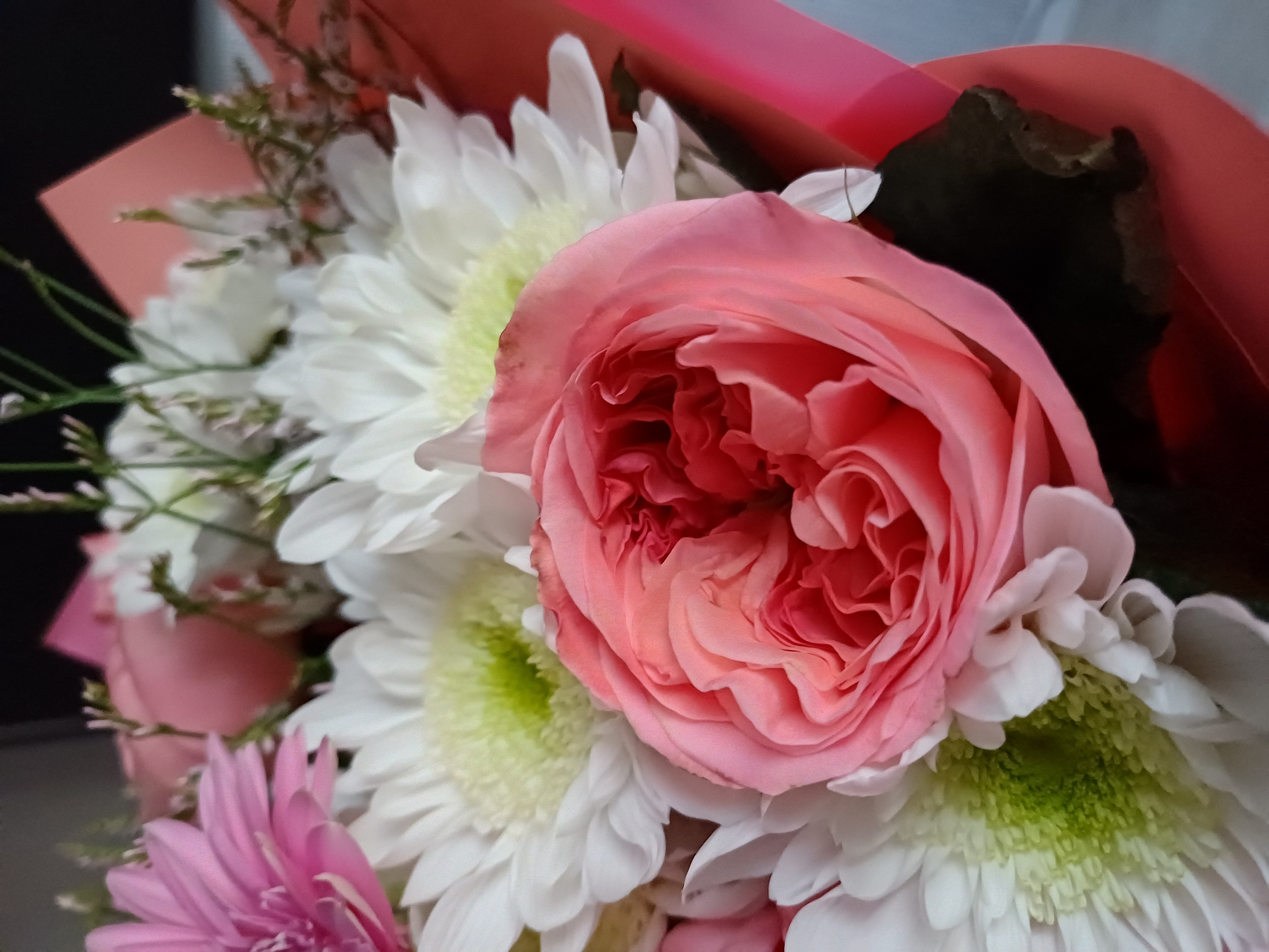 A close-up, overhead shot shows a bouquet of flowers. In the foreground, a pink rose with many ruffled petals is prominently displayed. Behind the rose, several white chrysanthemums with bright green centers are visible. To the left, the edge of a pink gerbera daisy can be seen. The bouquet is wrapped in coral-colored paper.