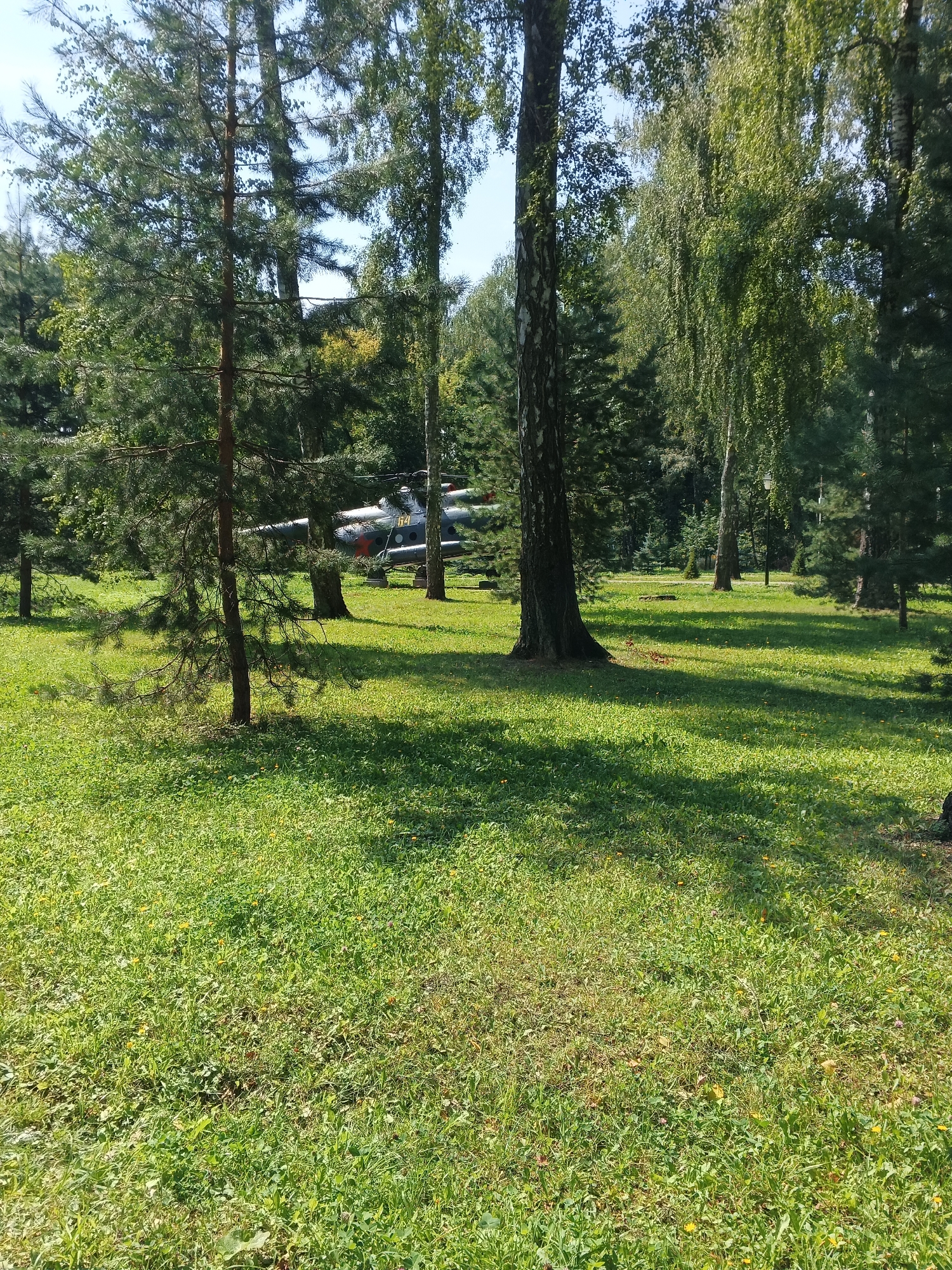 The image depicts a park-like setting with a helicopter visible amongst trees. The helicopter, dark in color with red markings and the number "17" on its side, is positioned on the grassy ground. Tall trees, including pines and birches, surround the helicopter and dominate the landscape. The ground is covered in lush green grass with scattered yellow flowers. Sunlight casts shadows across the scene, indicating it is daytime. There are no people visible in the image.