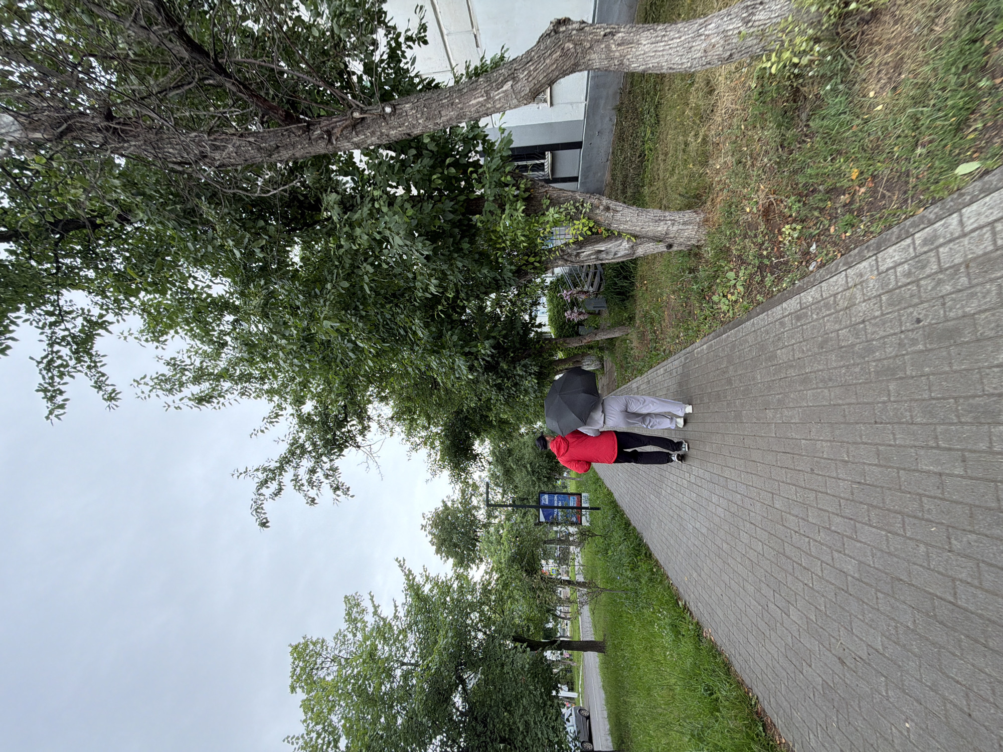 Two people, viewed from behind, walk side-by-side on a paved sidewalk under a cloudy sky. One person is wearing a red jacket and black pants, while the other is wearing light gray pants. They are sharing a large, dark-colored umbrella. The sidewalk is lined with green grass and trees. In the background, there is a building with white siding and a dark trim. There are also signs visible, but no text is legible. The overall scene suggests a cool, possibly damp day in a residential or park area in Chaikovsky, Russia.