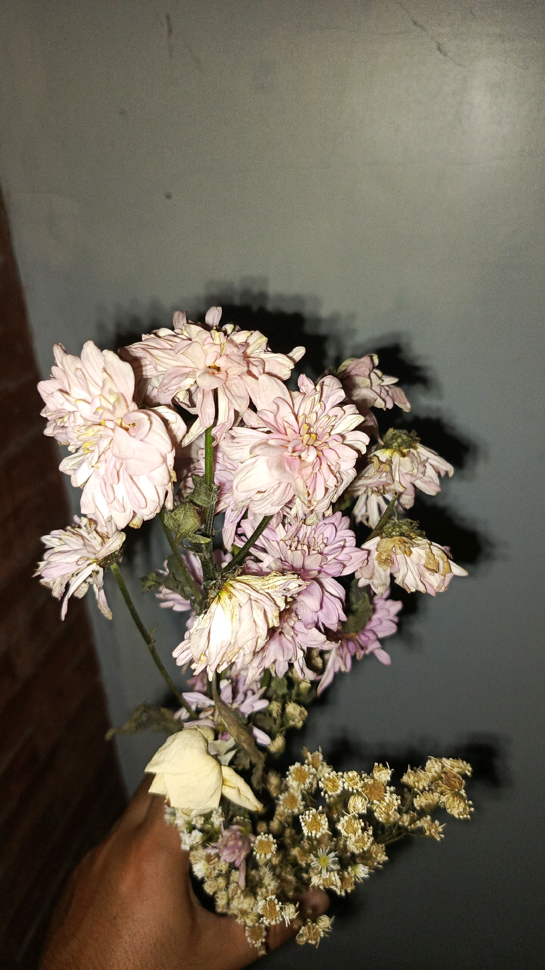 A hand holds a bouquet of dried flowers, predominantly pale pink chrysanthemums and smaller yellow-white wildflowers, against a plain grey wall. The chrysanthemums are wilted, with some petals browned and curled. The yellow-white flowers are clustered at the base of the bouquet and also appear dried. A faint shadow of the flowers is cast on the wall behind them. The background is a simple, textured grey surface, with a hint of a brick wall visible on the left side. The lighting is dim, creating a dramatic effect with the shadows. The image was captured in Babadan, Indonesia.