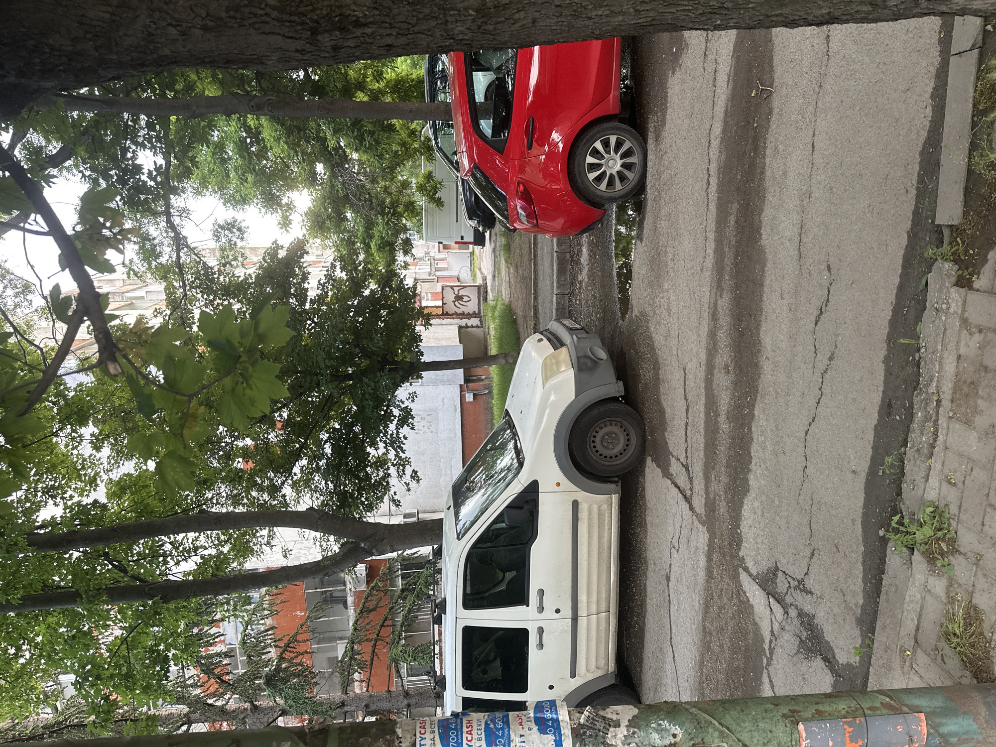 The image captures an urban street scene, with the original photo rotated 90 degrees counter-clockwise. When viewed upright, a paved asphalt road runs through the midground, showing cracks and wet patches, suggesting recent rain or damp conditions.
On the left side of the road, two cars are parked. In the foreground is a white, Ford Transit Connect-style utility van, characterized by its high roofline, dark grey plastic wheel arches, and steel wheels. Behind it is a bright red hatchback, featuring alloy wheels and a sleek design. Further down the street, a white van is partially visible.
Trees with dense green foliage dominate the left side and top of the frame, with large tree trunks partially obscuring the view. Through the trees, multi-story residential or commercial buildings are visible in the background, featuring various architectural styles and numerous windows. In the bottom right corner, a green metal pole or pipe is visible, covered with faded and torn posters.
The scene appears to be taking place during the daytime, with diffused light indicating either an overcast sky or dappled sunlight filtering through the dense canopy. No people are visible.
Visible text on the green pole includes fragments of what appear to be advertisements, with words like "TYCASH", "ЗА ВСЕК", "ВСЕКИ" (Bulgarian for "everyone" or "every"), "700 46", and "4 6000". These cues, along with the overall setting, are consistent with an urban environment in Burgas, Bulgaria.