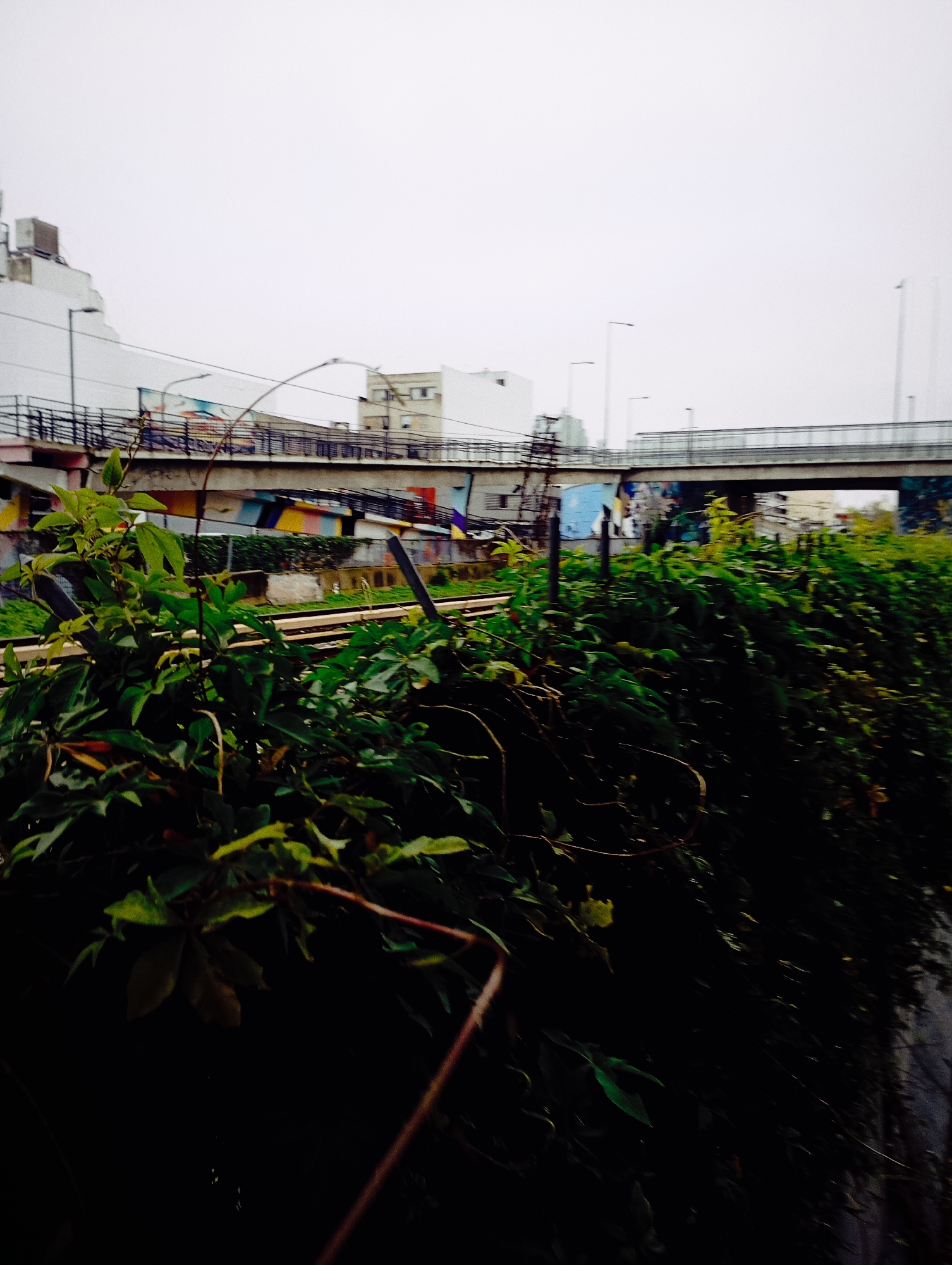 The image depicts a scene in Buenos Aires, Argentina. In the foreground, dense green foliage obscures the lower portion of the frame. Beyond the foliage, a railway track runs horizontally across the middle ground. Above the tracks are several concrete overpasses with pedestrian walkways. The structures supporting the overpasses are decorated with colorful murals. Further back, buildings are visible against a light, overcast sky. The image conveys an urban environment with a mixture of infrastructure, vegetation, and artistic expression.