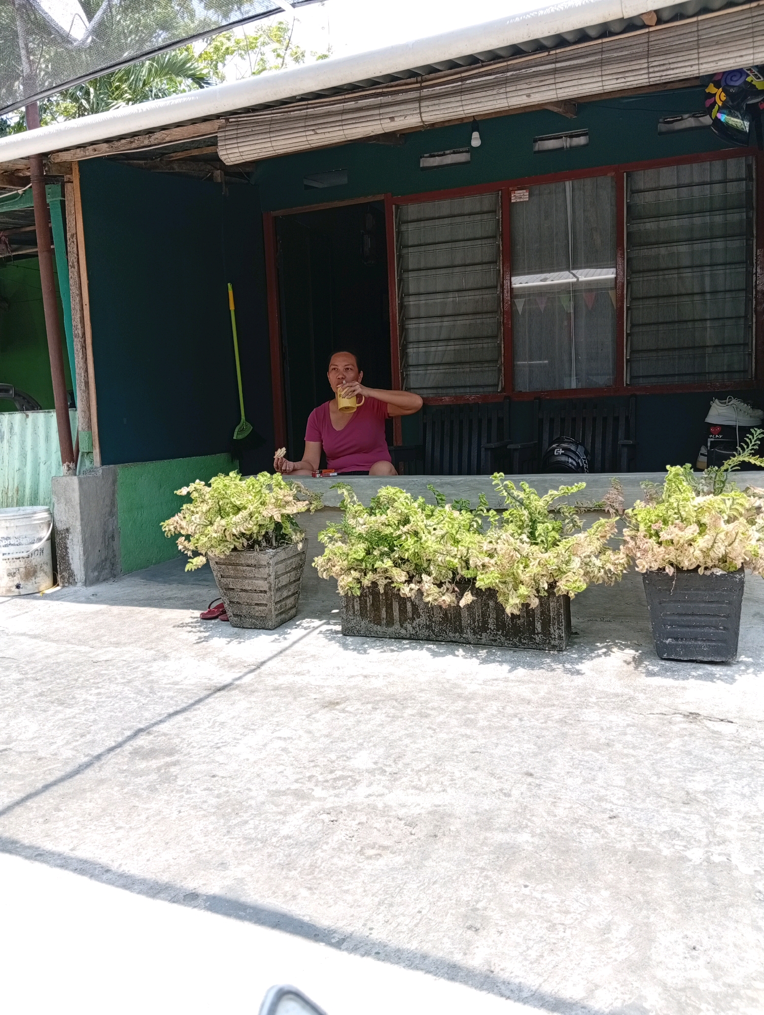 In Manado, Indonesia, a woman sits on a low wall outside a building with a dark green exterior wall. She is wearing a pink t-shirt and is holding a yellow cup to her mouth, seemingly drinking. In her left hand, she is holding a piece of food. In front of her are two concrete planters filled with bushy green and white plants. To the left of the planters, near a white bucket, is a pair of red flip-flops. The scene appears to be outdoors, with a concrete ground surface and a covered area overhead supported by poles. The building has a window with louvers and wooden framing.