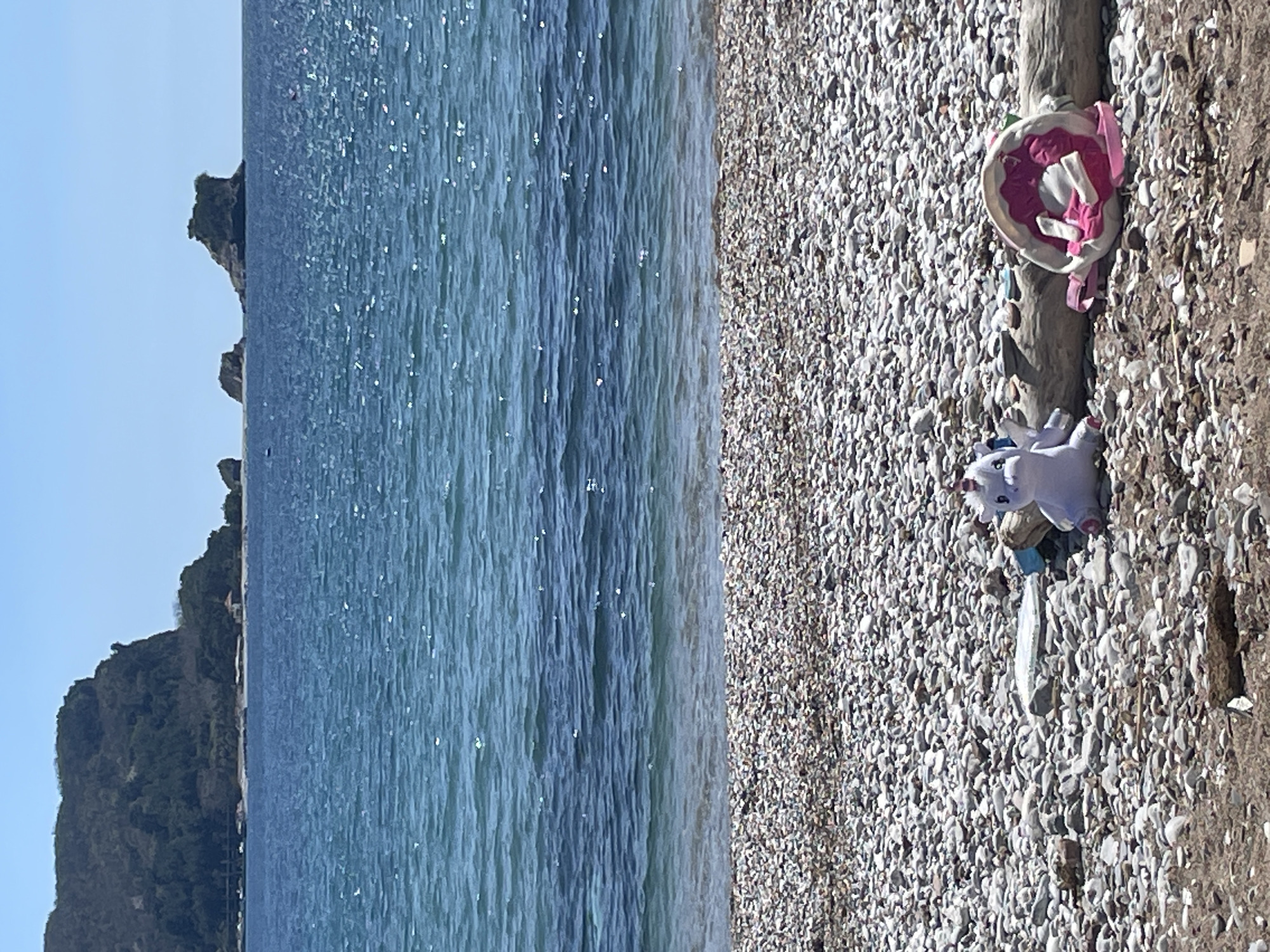 The image shows a beach scene with a body of water to the left and a shell-covered beach to the right. In the distance, there is a dark green forested area. On the beach, a log is visible with a pink and white children's backpack leaning against it and a white stuffed unicorn toy placed below. The scene appears to be a beach somewhere along the Budva Riviera in Montenegro, based on the coastal landscape and geological features.