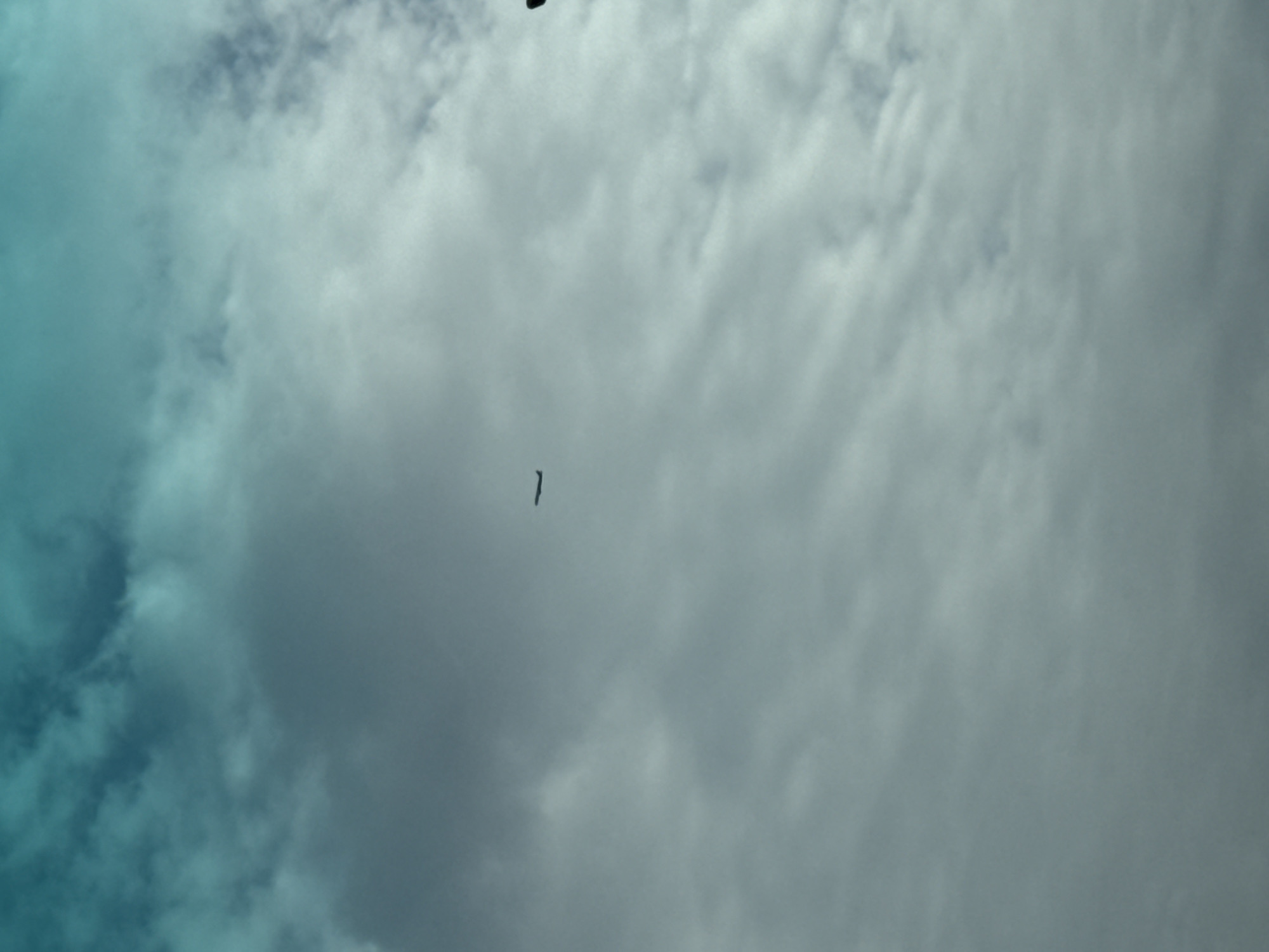 The image shows a cloudy sky. The clouds are predominantly gray and white, with some areas of teal blue, possibly reflecting sunlight or sky color. In the center of the frame, a small, dark, elongated object is visible. It is unclear what the object is. Without additional information or context, the location in Sofia, Bulgaria cannot be confirmed.