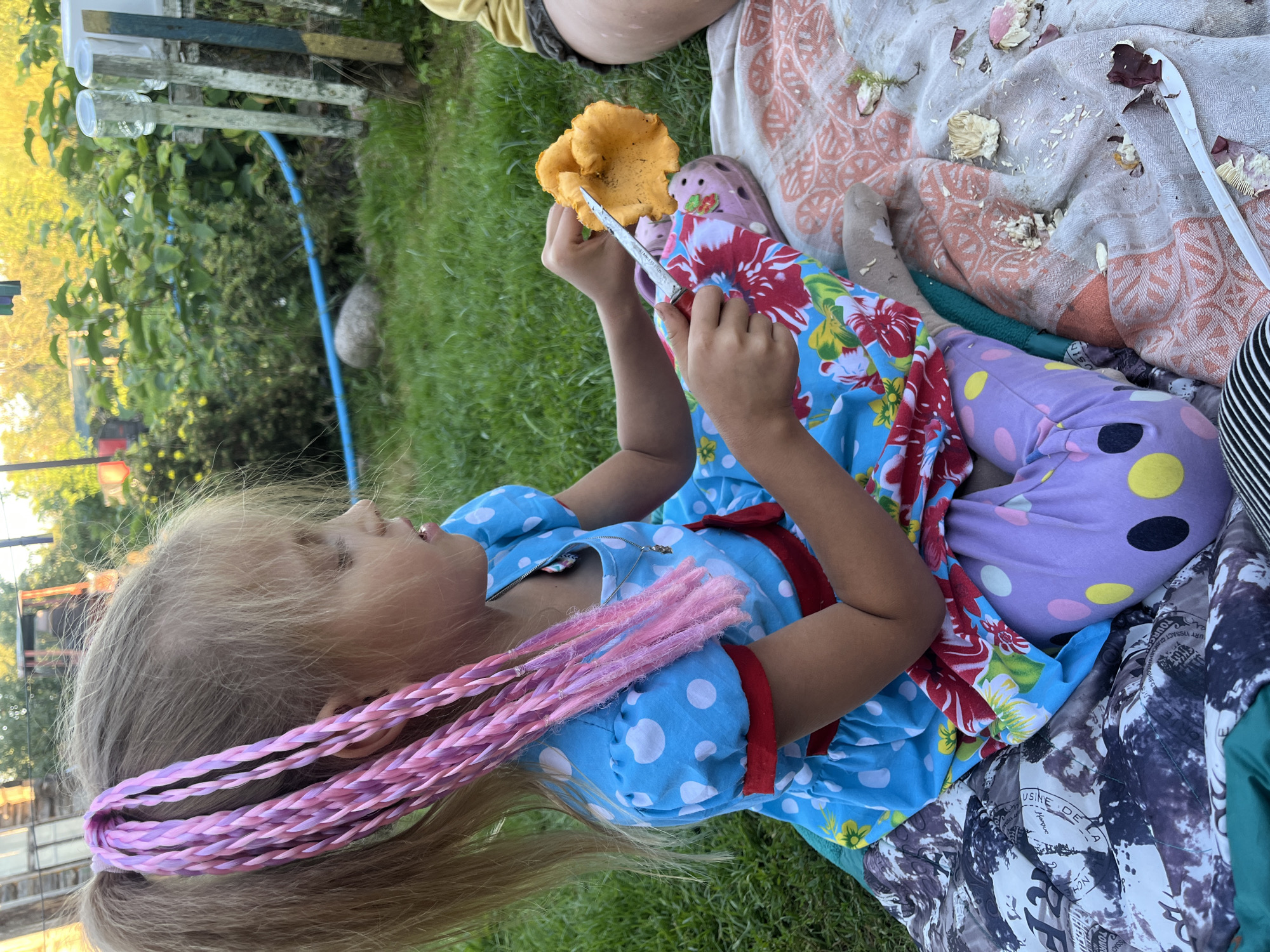 A young girl with blonde hair styled in pigtails with pink braids is sitting on a blanket outdoors. She is wearing a blue and white polka dot dress with red trim and a floral pattern on the skirt, and purple leggings with large yellow and black polka dots. The girl is holding an orange mushroom and a knife, appearing to be examining or cutting it. The background shows a grassy area with some greenery and a wooden fence. Scattered around the blanket are remnants of mushrooms and a plastic knife. The scene appears to be in a rural or backyard setting, consistent with a location in the Дунілавіцкі сельскі Савет, Belarus.