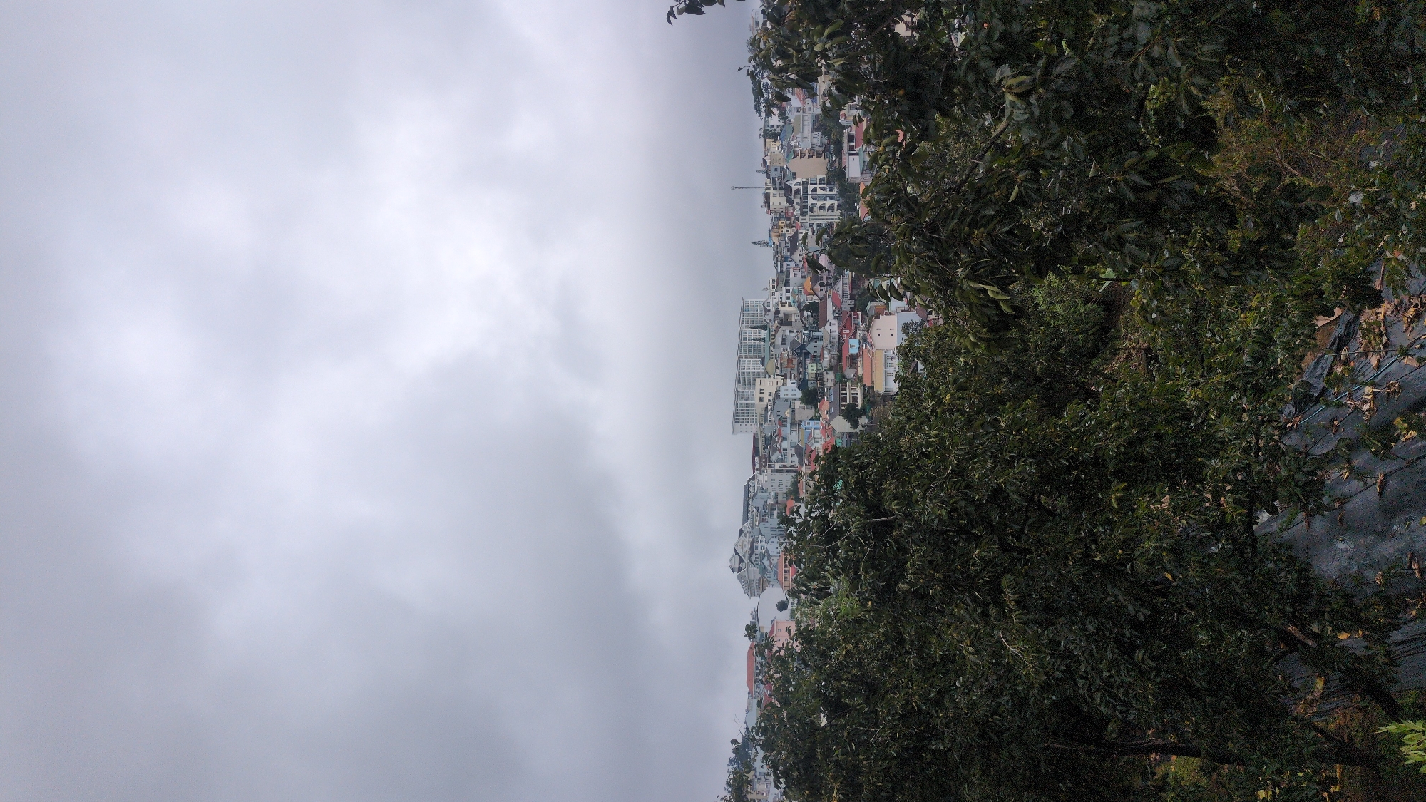 The image shows a panoramic view of the city of Da Lat, Vietnam, under a cloudy sky. In the foreground, lush green foliage from trees partially obscures the view of the city. The city itself is spread across rolling hills, with a variety of buildings in different architectural styles and colors, ranging from small houses to larger, more modern structures. One prominent building in the mid-ground appears to be a multi-story complex with a light-colored facade. The overall atmosphere is overcast, suggesting a potentially cool or rainy day, which is characteristic of Da Lat's highland climate. The image captures the urban landscape interspersed with natural elements, highlighting the city's integration with its hilly terrain.