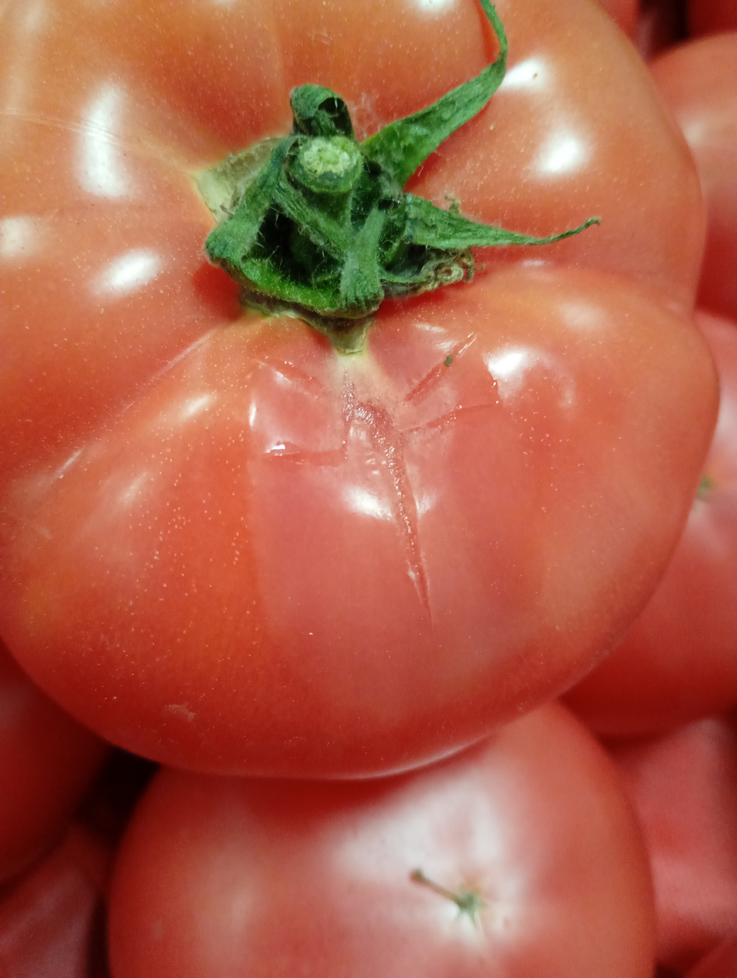The image shows a close-up of a pile of red tomatoes. The primary tomato in focus has a green stem at the top and a distinct scar or split on its surface. Other tomatoes are visible in the background, slightly out of focus. There is no indication in this image that it was taken in Kabile, Bulgaria.