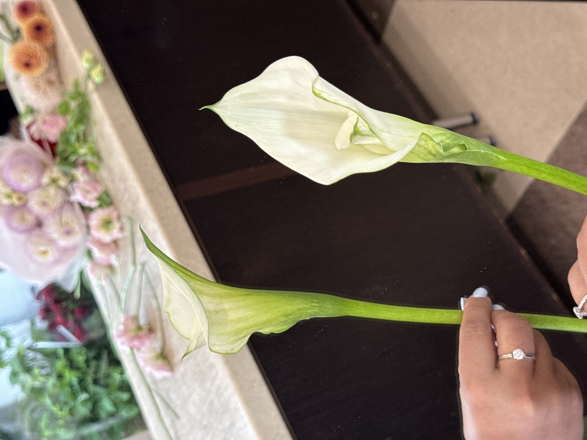 The image shows two white calla lilies with green stems. A person's hands are visible, one holding a stem, and another hand is positioned near the bottom of the frame. Both hands are adorned with rings. The background features a blurred bouquet of pink and orange flowers, as well as greenery, placed on a counter. The setting appears to be a floral shop or a well-decorated interior space. The image is a close-up, focusing on the calla lilies and the hands. There is no indication of the location being Assinovskaya, Russia.