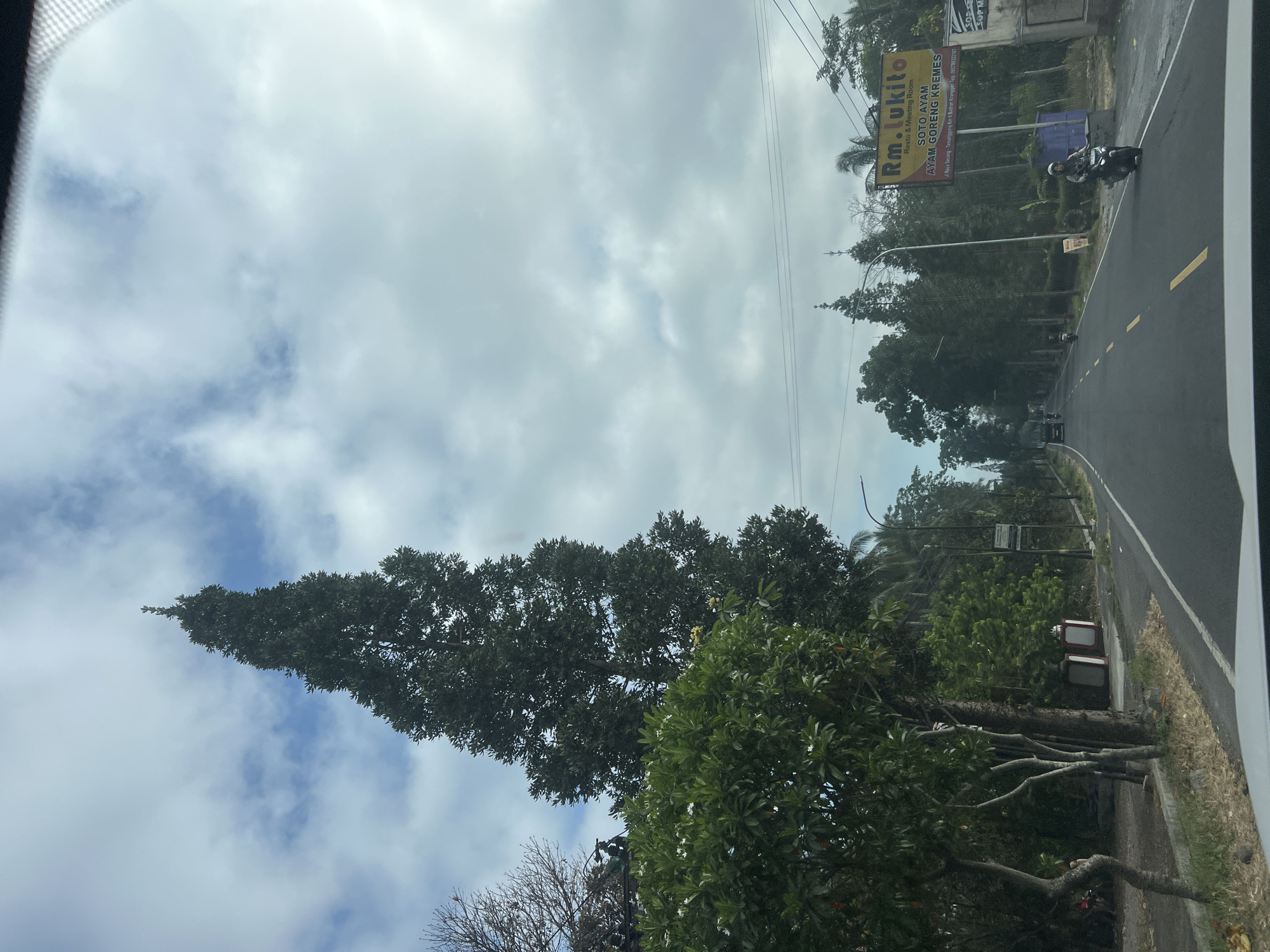 A medium-shot image taken from a vehicle looking forward on a two-lane road in the city of Badran, Indonesia. A tall, slender evergreen tree dominates the left side of the frame, reaching towards a cloudy sky. Lush green trees and foliage line the roadside. A yellow billboard with Indonesian text, advertising "RM. Lukito Resto & Meeting Room Soto Ayam Ayam Goreng Kremes," is visible on the right side of the road. A person on a black scooter wearing a helmet rides away from the camera on the right lane of the road. The road is paved and has yellow lane markings. The environment appears to be semi-rural, with a mix of vegetation and some structures along the roadside.