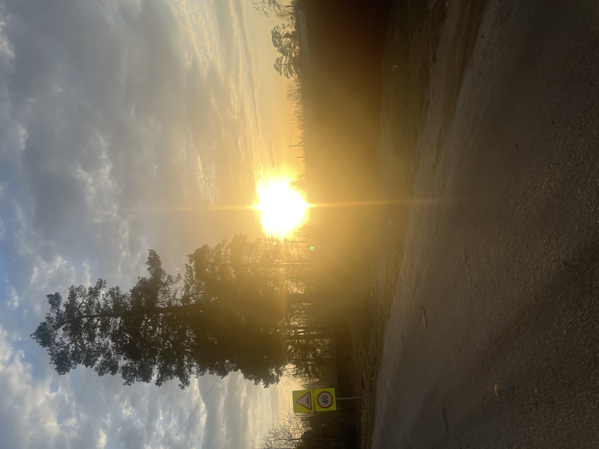The photograph captures a roadside scene in Razdolye, Russia, at sunset. A brightly illuminated sun is partially obscured by trees, casting long rays and a golden hue across the landscape. To the left, a tall pine tree stands silhouetted against a cloudy sky. Near the roadside, a yellow road sign with a triangular symbol and the number 40 is visible. The road surface is dark and textured. In the distance, the silhouetted shapes of more trees can be seen. The photograph appears to have been taken at a low angle, possibly from ground level.