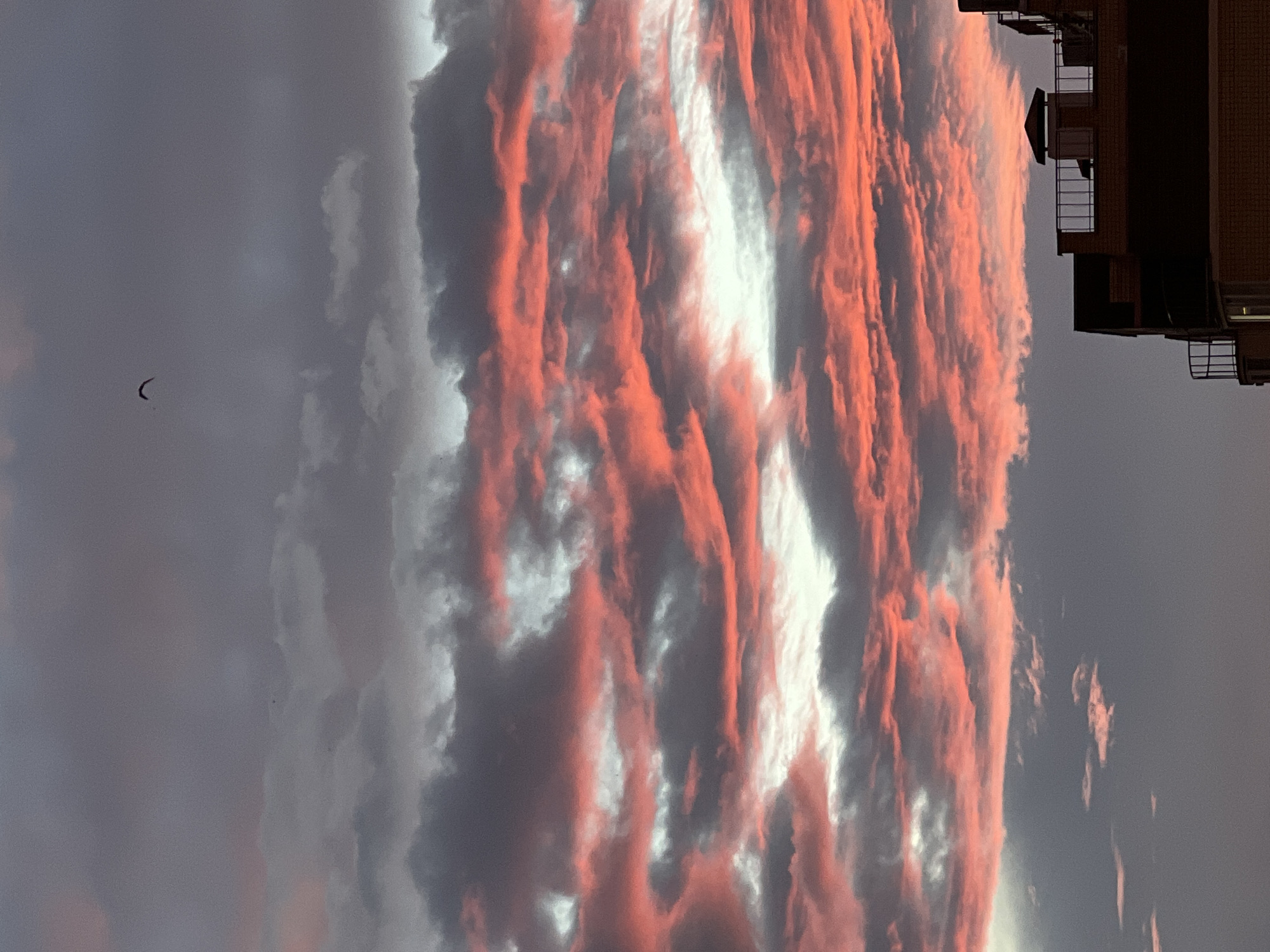 The image captures a dramatic sunset over the city of Mytishchi, Russia. The sky is filled with a vibrant display of clouds, painted in hues of pink, orange, and gray. Some clouds are illuminated by the setting sun, creating a fiery, textured effect, while others remain dark and brooding. A small dark object, possibly a bird or a kite, is visible in the upper portion of the sky. In the foreground, the silhouette of a building with a rooftop structure and railings is partially visible. The scene suggests a clear evening with significant cloud cover that is catching the sunset's colors.