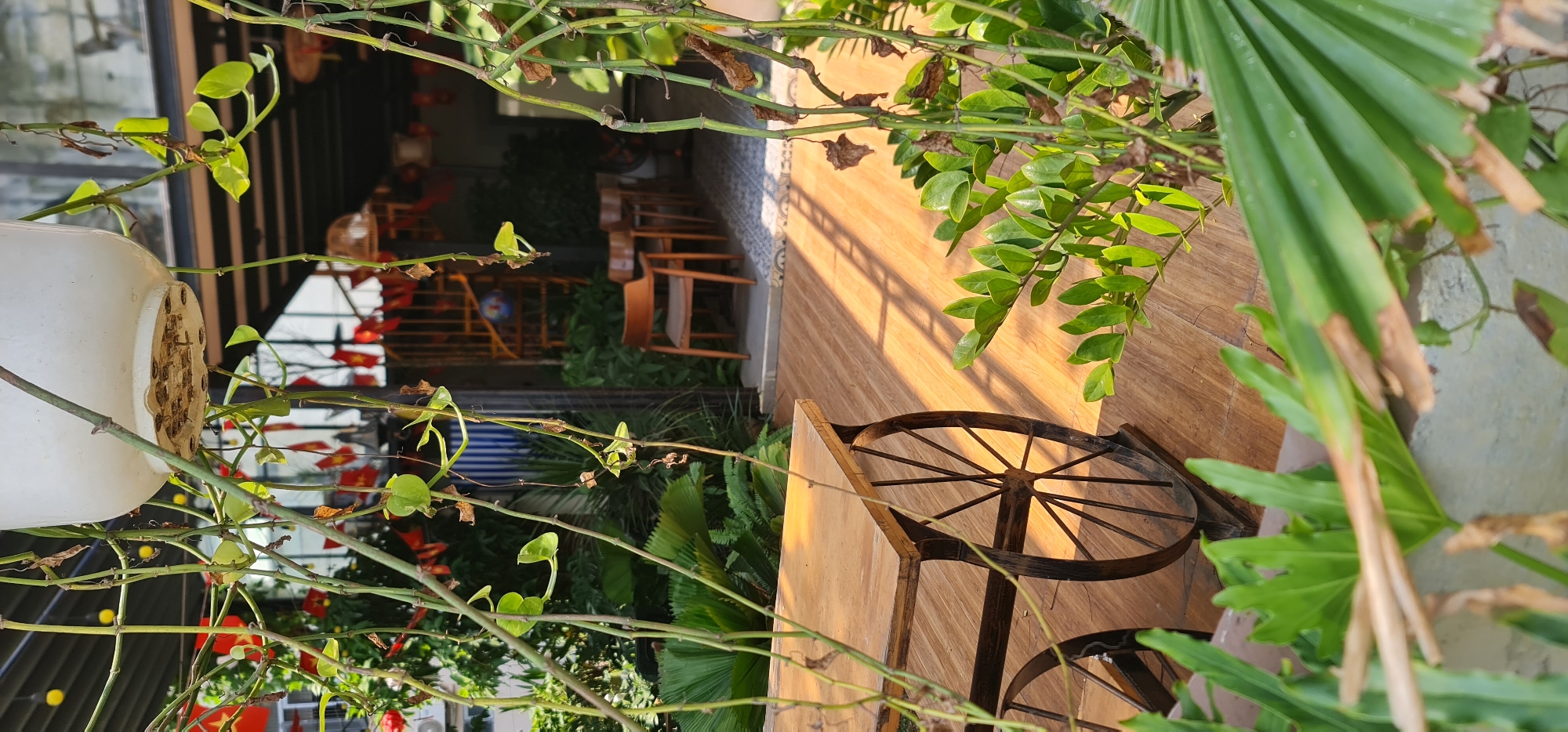 The image shows an outdoor seating area in Đà Nẵng, Vietnam. In the foreground is foliage from plants, with a white flowerpot visible on the left. Behind the plants, there is a wooden table with two decorative wagon wheels. In the background, there is a view into an indoor space with chairs, decorative railings, and red lanterns hanging from the ceiling. The floor outside the seating area is a light-colored tile or stone.