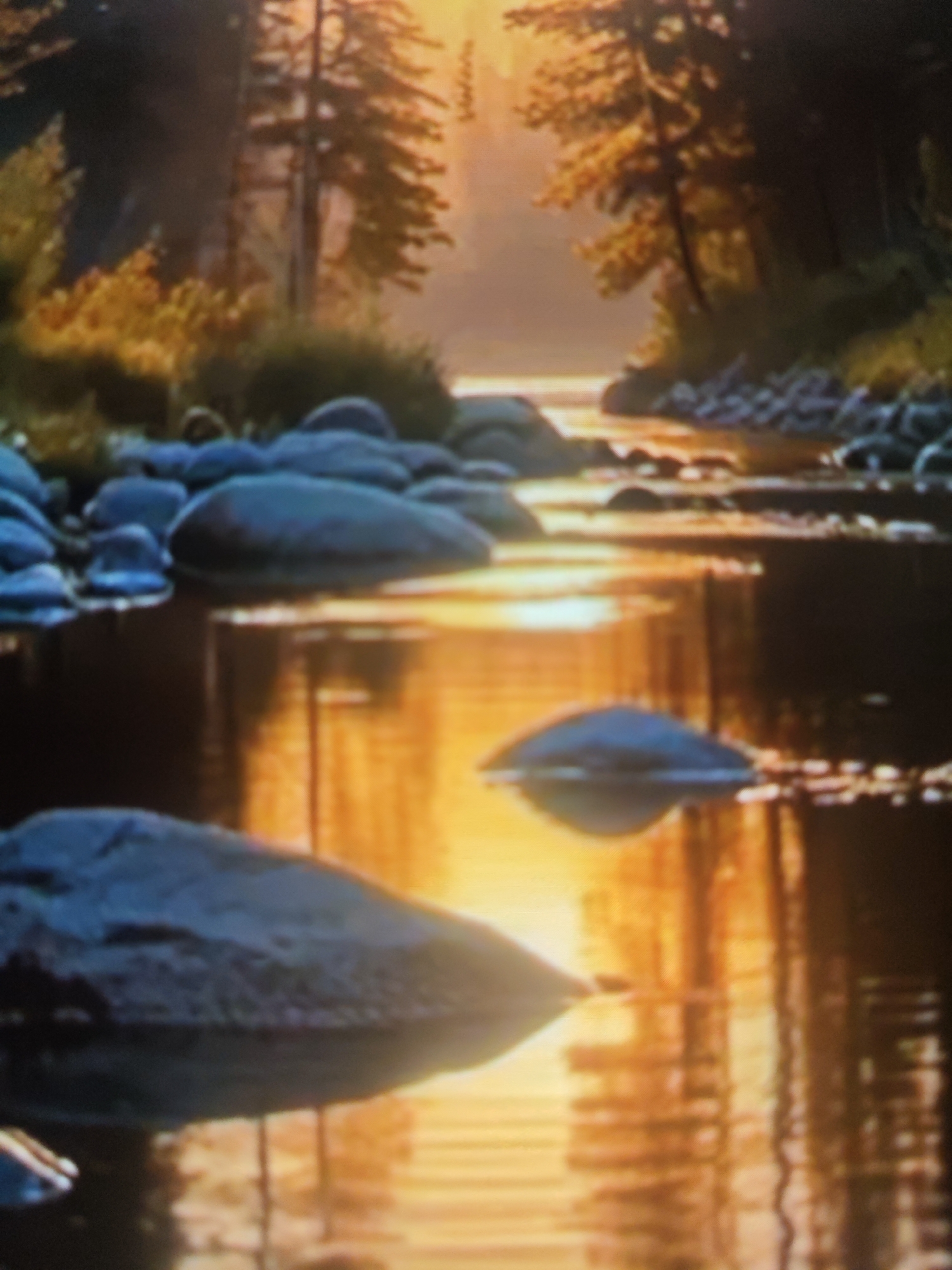 The image depicts a serene natural landscape at sunset. A calm river flows through a forest, with the warm, golden light of the setting sun reflecting off the water's surface. The riverbanks are lined with rocks and trees, their silhouettes dark against the bright sky. The overall atmosphere is peaceful and tranquil. There are no people or man-made structures visible in the scene. The provided image does not contain any information or visual cues that would allow for its identification as being located in Krasnaya Polyana, Russia.