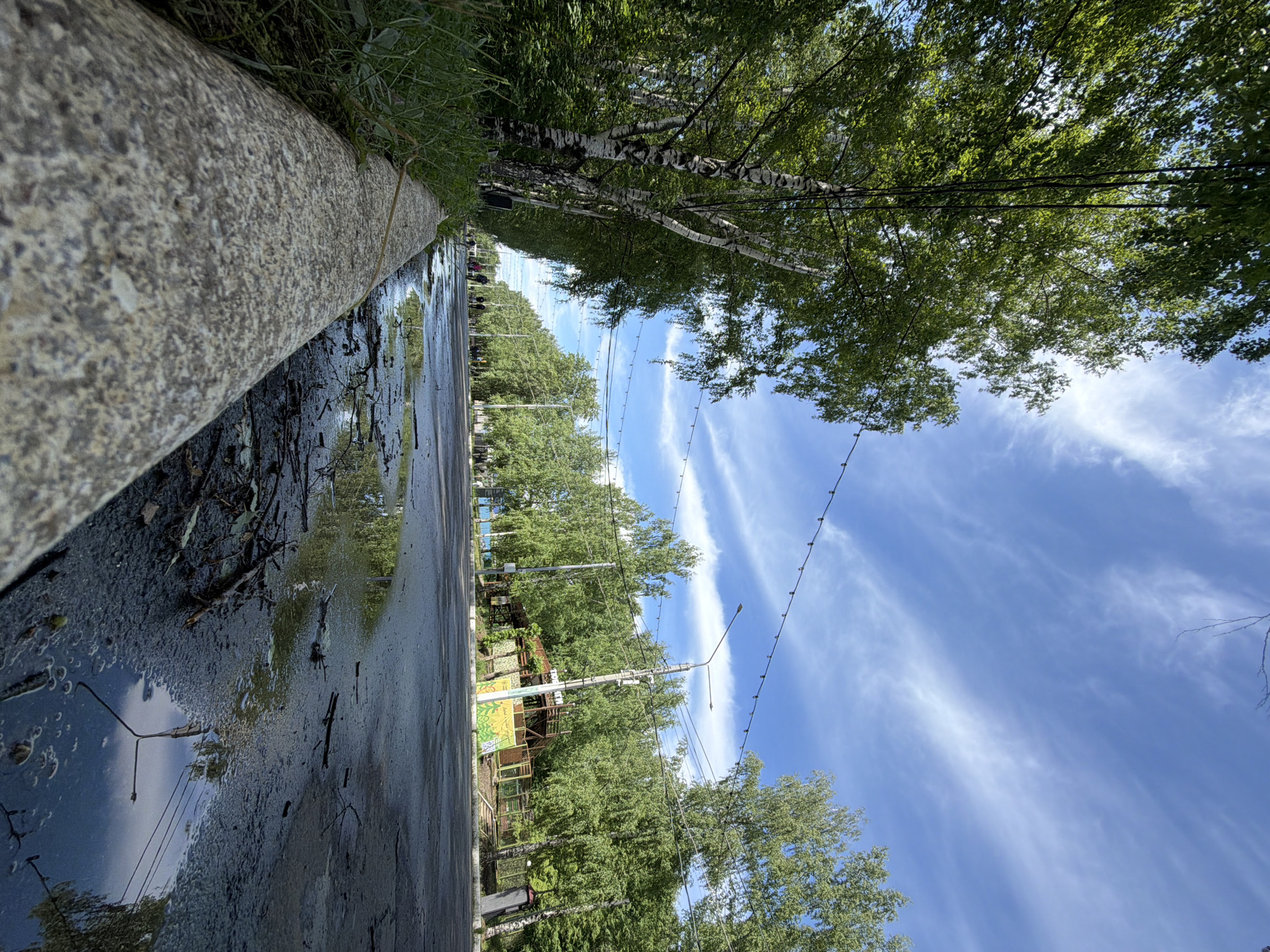 The image captures a street scene in Izhevsk, Russia, after a rainfall. The perspective is from a low angle, near the curb. The wet asphalt reflects the sky and surrounding trees, creating a mirror effect. The sky is blue with wispy cirrus clouds. Rows of trees line both sides of the street, their green foliage creating a canopy. There are birch trees to the right with the distinctive white bark. Electrical wires run above the street, adorned with hanging lights. A concrete curb is visible along the left edge, with grass growing in patches along the top. Across the street, structures and signage are partially visible through the trees. The foreground shows puddles and debris on the street.