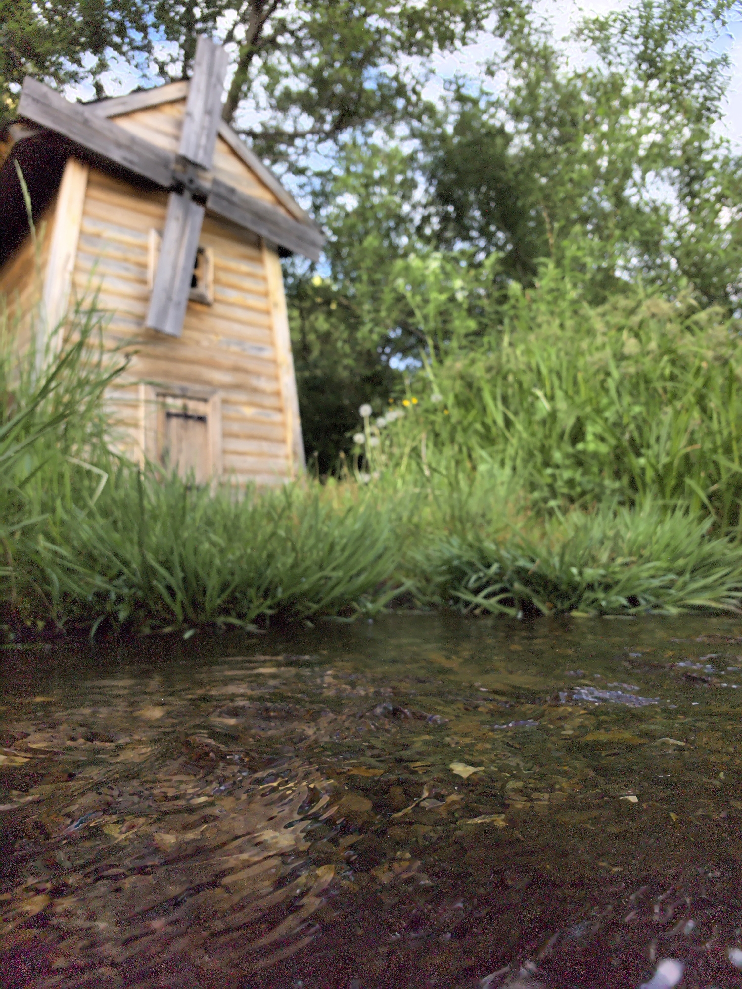 The image captures a low-angle view of a shallow body of water with a miniature wooden windmill structure on the left. The windmill is constructed from light-colored wood and has a simplified design with a small door and a non-functional set of blades. The surrounding area is overgrown with green grasses and various plants, suggesting a natural environment. Trees are visible in the background, adding depth to the scene. The water surface shows ripples and refractions, indicating movement and shallow depth, with the bottom partially visible. The overall lighting suggests daytime, although the exact time and weather conditions are not clearly discernible. No people or animals are visible. The location is indeterminate and is noted as "Unknown, Unknown."