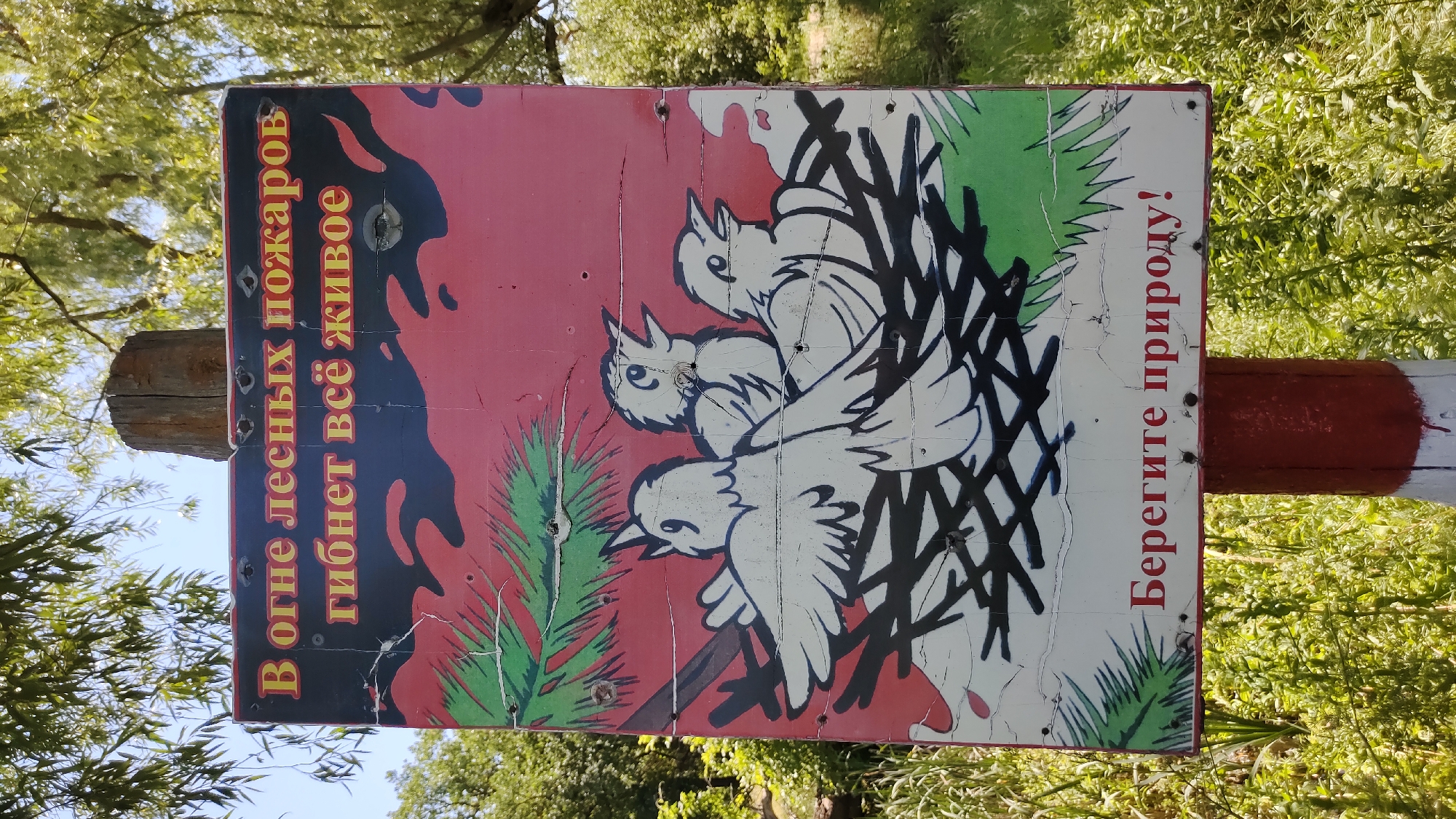 A weathered sign with an illustration of baby birds in a nest is mounted on a wooden post. The sign has a red background with green branches and depicts three white birds with their mouths open. Text in Russian is present on the sign. The top line reads "В огне лесных пожаров" (In the fires of forest fires) and the second line reads "гибнет всё живое" (everything alive perishes). The bottom line reads "Берегите природу!" (Protect nature!). The sign shows signs of age and damage, including cracks and what appear to be bullet holes. The background consists of lush green foliage and trees under a bright sky, suggesting an outdoor, natural setting. This sign is located in Mikhaylovka, Russia.