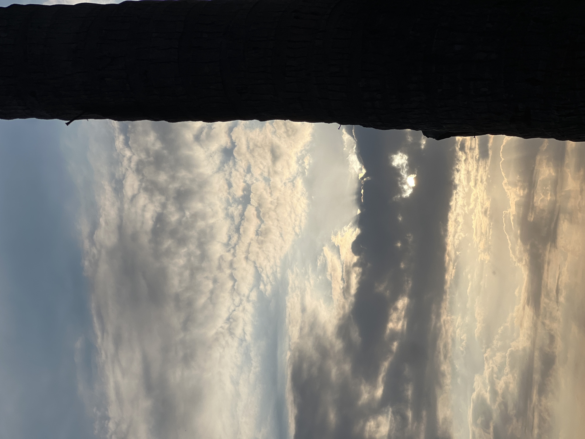 An outdoor, waist-up, medium shot captures the right side of a tall, dark palm tree trunk in silhouette against a sky filled with dramatic clouds. Sunlight breaks through the clouds in the background, creating shafts of light. The scene is set in Kuta, Indonesia.