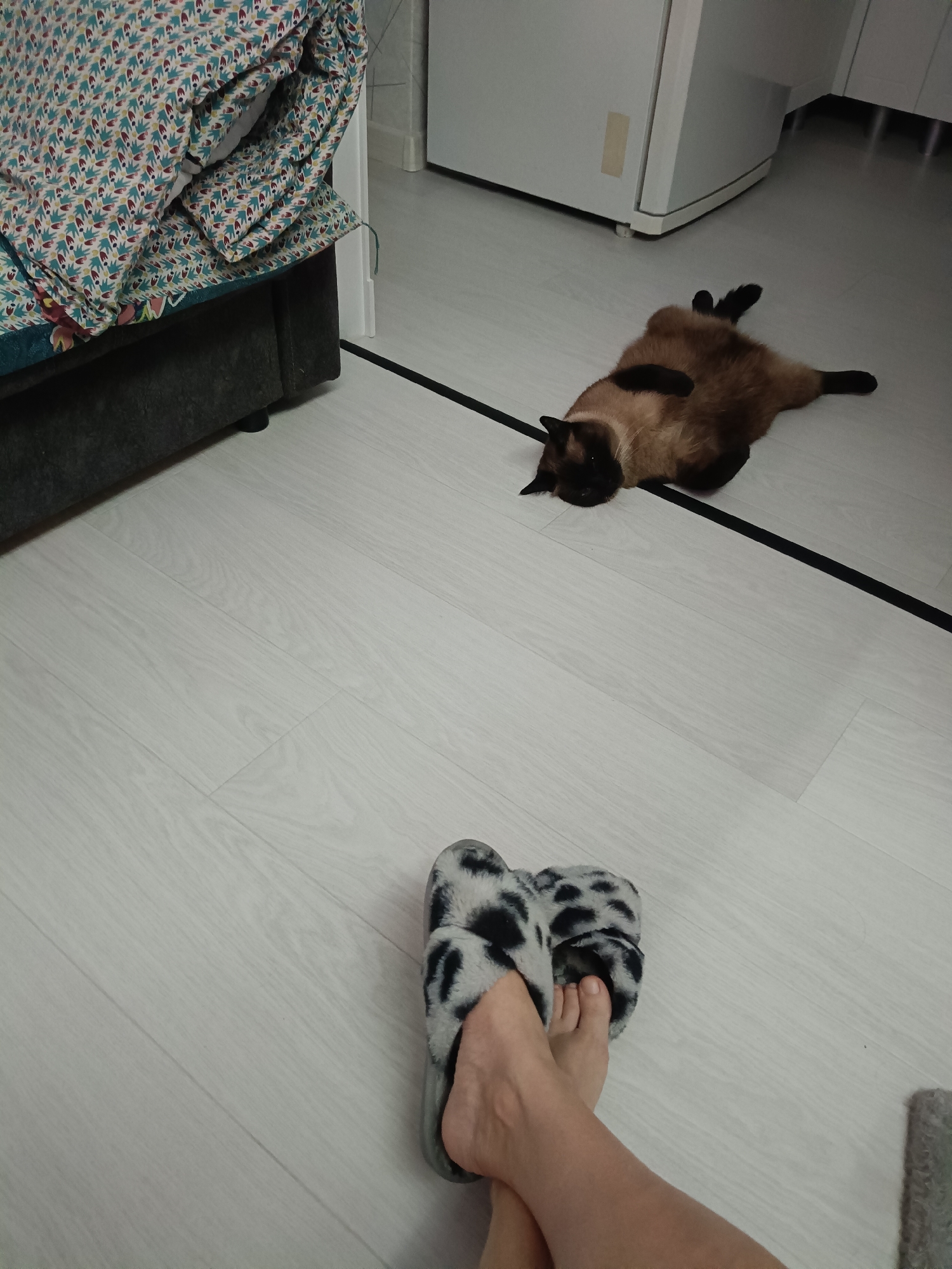 In a brightly lit room with light wood-paneled flooring, a Siamese cat is sprawled on its back, with all four paws extended in the air, in the middle of a black line that extends horizontally across the floor. The cat's fur is brown with darker points on its face and paws, and it has a relaxed posture. In the foreground, a person's bare feet are visible, wearing fuzzy, black and white patterned slippers. The feet are positioned on the floor, with one leg slightly crossed over the other. To the left, a dark gray sofa is partially visible, covered with a colorful patterned blanket. In the background, a white appliance, likely a refrigerator, stands against a white wall, with a small piece of beige tape on its surface. The scene appears to be an indoor domestic setting, possibly in Sochi, Russia, given the context.