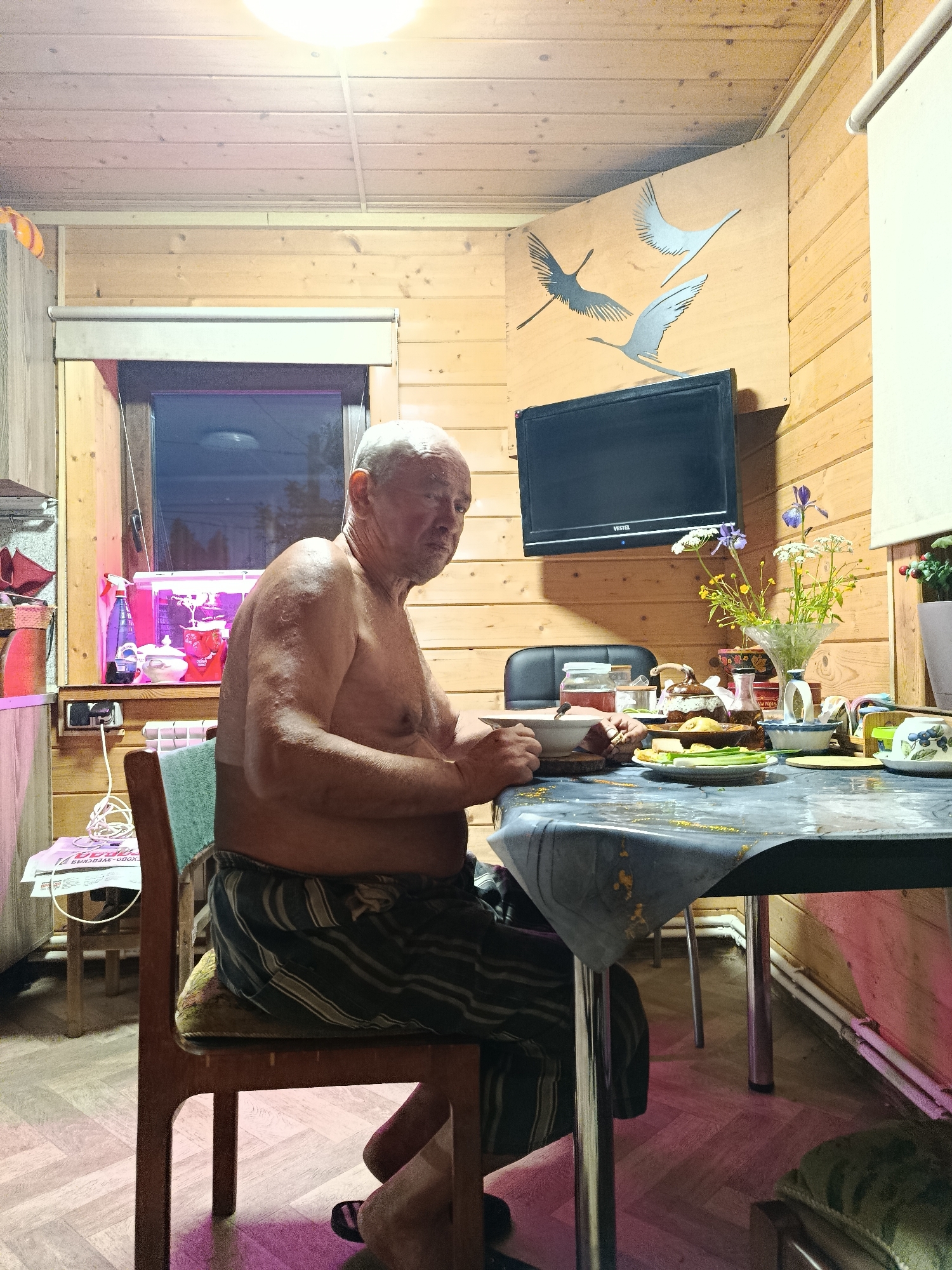 In a residential interior located in the city of Верея, Russia, an elderly Caucasian male is seated at a rectangular dining table. The man, with short white hair and bare-chested, wears dark striped pajama bottoms and black flip-flops. His skin exhibits a sheen, possibly from sweat or recent activity. He is positioned facing left but looking towards the viewer, holding a white bowl in his left hand and a piece of food in his right, appearing to be in the process of eating.
The room features light-colored wooden paneling on both the walls and ceiling. A single, bright overhead light illuminates the scene, casting a warm glow. A window on the left side shows darkness outside, with a reflection of an indoor light. Below the window, on a shelf, a brightly illuminated aquarium or terrarium with pink and purple lighting is visible, containing water and various objects. Adjacent to this, an electrical outlet with a white cord is present, and a white radiator is installed beneath the window.
The dining table in the foreground is covered with a dark, possibly plastic, tablecloth that has some lighter patterns. Arranged on the table are several dishes including the man's white bowl on a wooden coaster, a plate of sliced cucumbers, a plate with golden-brown fried items (possibly pastries), a patterned ceramic teapot, a blue and white patterned bowl, and various condiments in bottles and shakers. A glass vase holds a bouquet of wildflowers, including white blossoms, yellow flowers, and purple irises. A white and blue patterned teacup and saucer are also on the table.
Mounted on the wooden wall above the table is a black flat-screen television with the "VESTEL" logo. To the right of the television, a decorative wooden panel features three stylized silhouettes of birds in flight, two dark gray and one light gray. The floor is covered with a light-toned wooden parquet in a geometric pattern. A black office chair is partially visible behind the table, and a pink/purple ambient light source casts a glow on the floor beneath the table and near the man's chair.