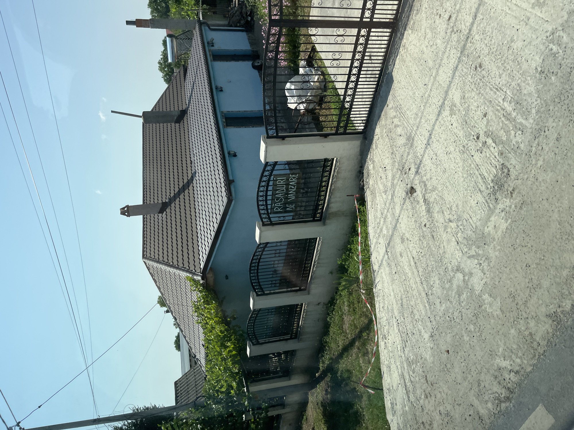 The image depicts a residential property with a light blue house and a dark brown tiled roof. The house has at least two entrances visible and two chimneys on the roof. A black wrought-iron fence with decorative elements encloses the property, featuring a gate with the text "RĂSADURI DE VÂNZARE" (Seedlings for Sale) prominently displayed on one section. The fence is supported by concrete pillars. In front of the house, there is a concrete driveway and a lawn area with some grass and a few plants. To the left of the house, a tree with green foliage is visible, and further back, other houses and trees can be seen. The sky is clear and blue, indicating a sunny day. The location is identified as Movilița, Romania.
