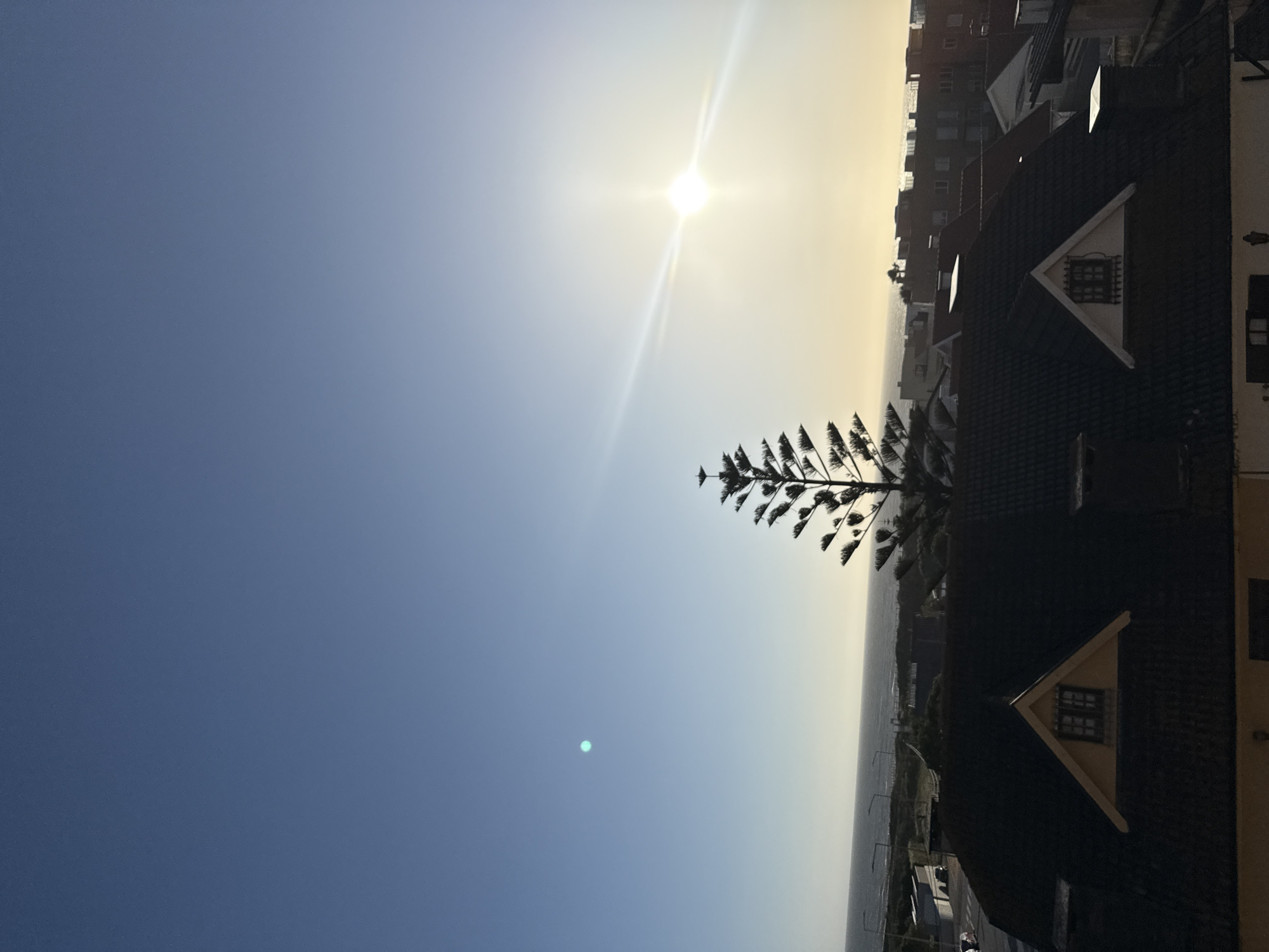 The image presents a view in Vila Nova de Gaia, Portugal. The focus is on a clear sky, transitioning from deep blue to a lighter shade near the horizon where the sun is positioned. A slender tree stands silhouetted against the bright sky. In the lower right portion of the frame, the roofs of buildings are visible, one of which has a gable window. The buildings overlook what appears to be a coastline.