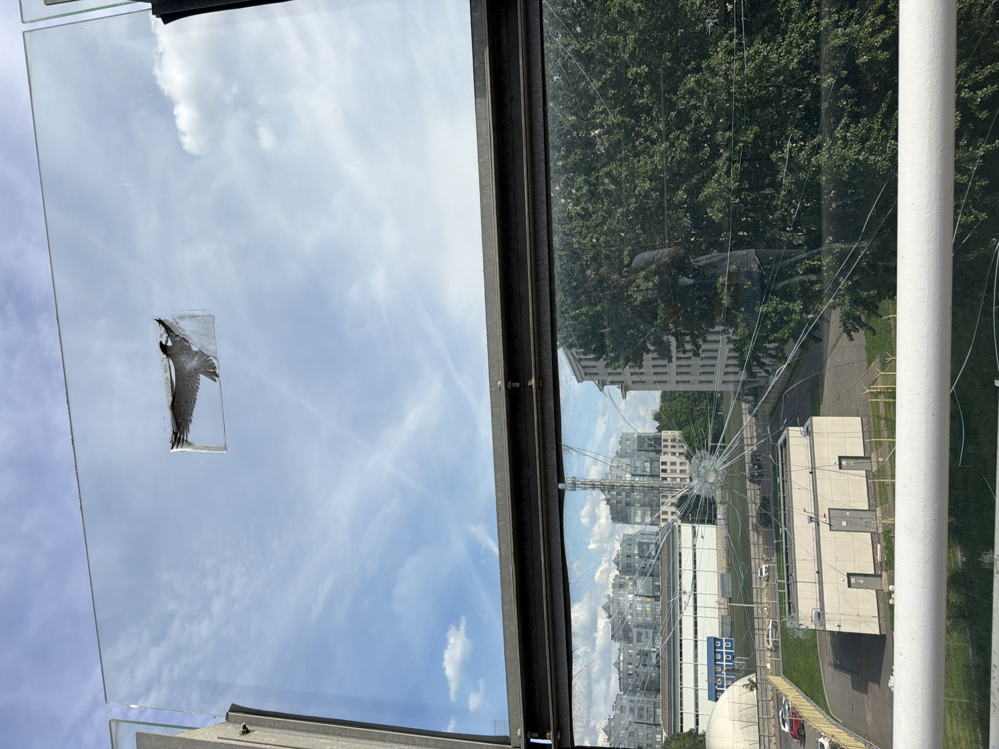 The image presents an elevated urban view captured through multiple glass panels, likely from a pedestrian bridge over Prospekt Nepokoryonnykh in Saint Petersburg, Russia. The scene is bisected horizontally by a dark metal beam and includes a white metal railing in the immediate foreground.
The upper glass panel is clear and reflects a bright blue sky dotted with scattered white cumulus and cirrus clouds. A black bird silhouette decal, designed as a bird strike deterrent, is partially adhered to the upper central portion of this panel, depicting a bird in flight.
The lower glass panel is severely fractured, displaying a prominent starburst crack pattern originating from a central impact point located in its lower-central area.
Through the damaged lower panel, an urban environment unfolds. In the mid-ground, a single-story, light-colored utility building with three dark industrial-style doors and small rectangular windows is situated on a paved surface, partially enclosed by a chain-link fence. Adjacent to this building, a small parking area contains several vehicles, including a red hatchback, a white sedan, and a dark SUV, positioned next to a strip of manicured grass. Further into the background, a long, light-colored building featuring a distinctive blue section and a large white geodesic dome structure, consistent with a sports complex, is visible. The horizon is populated by multiple modern grey multi-story buildings, characteristic of residential or commercial development, some adorned with rooftop communication antennae or specialized structures. A dense mass of green deciduous trees is visible on the right side of the frame.
A faint, distorted reflection of a person, identifiable by a light-colored upper garment and dark lower garment, is discernible on the lower right quadrant of the cracked glass, superimposed over the trees.
The bottom of the image is occupied by a white painted tubular metal railing, horizontally positioned across the frame.