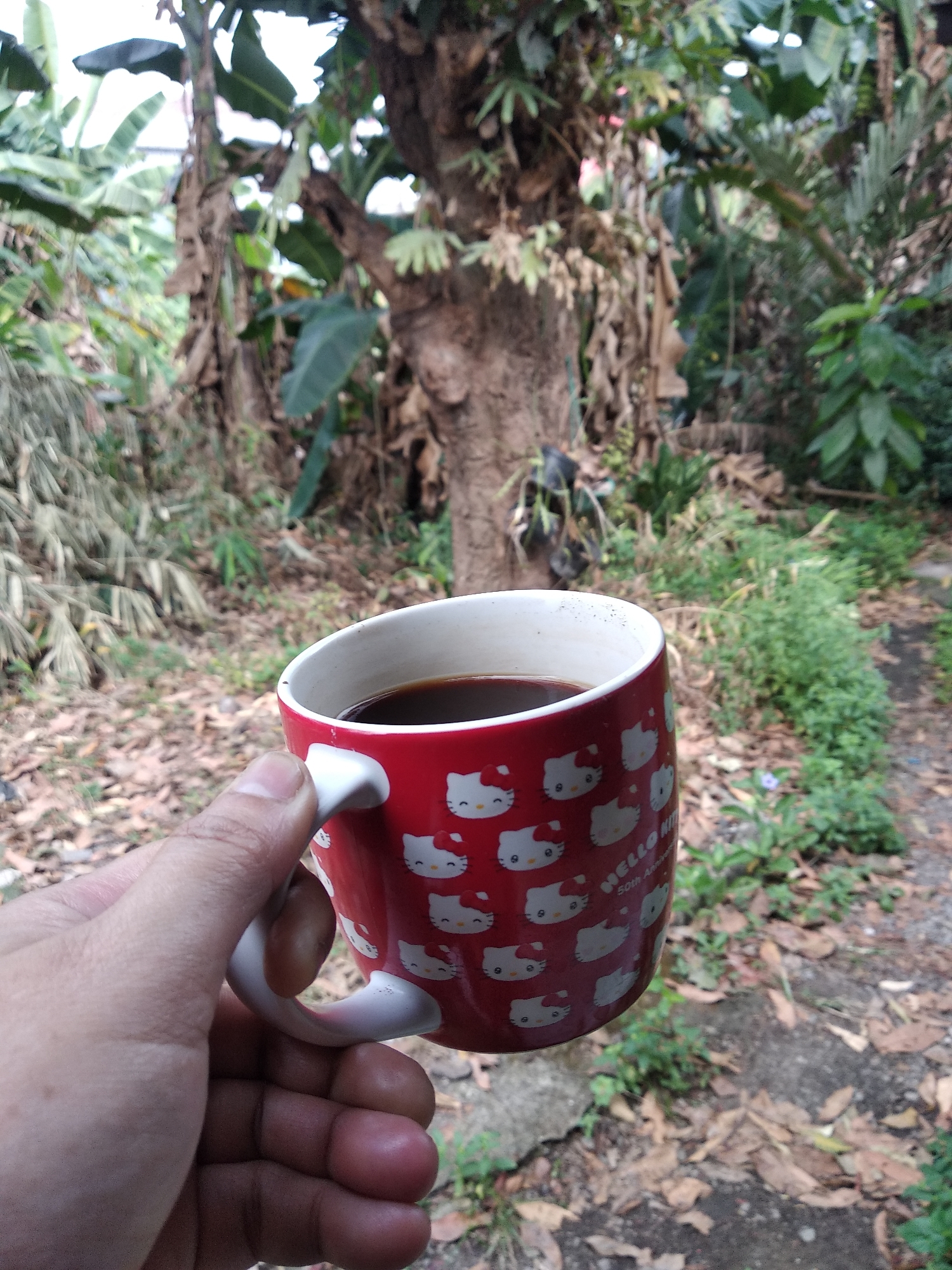 A hand holds a red mug with white Hello Kitty designs and the words "HELLO KITT" and "50TH ANNIVERSARY" visible, filled with dark liquid, possibly coffee. The mug is positioned in the foreground, obscuring the lower portion of a person's hand. The background depicts an outdoor environment with lush greenery, including large trees and banana plants, characteristic of a tropical setting. Dry leaves litter the ground. The scene is an exterior, likely in a garden or backyard, with a paved pathway visible in the lower right. The presence of dense vegetation suggests a location in Balaraja, Indonesia, a region known for its tropical climate and abundant plant life.