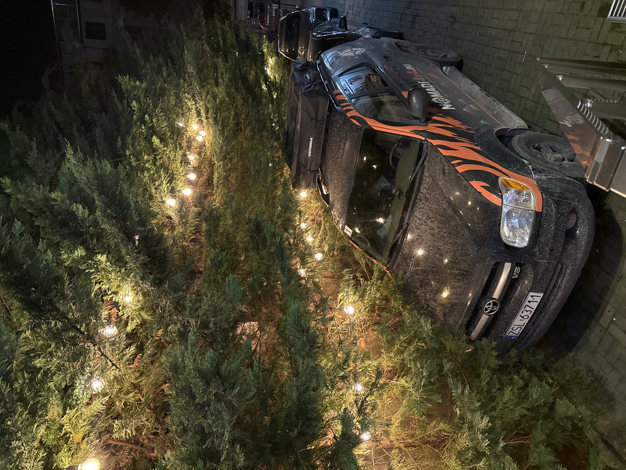 This nighttime image features a black Toyota SUV or truck, recognizable by its "V8" badge, parked next to a dense row of tall evergreen trees. The vehicle is distinctive with orange and black tiger-stripe decals and prominent white "NOMADS" lettering on its side, along with smaller "new NOMADS" text. A black rooftop tent or cargo bag, labeled "GERMINA," is mounted on the roof. The vehicle appears dusty, suggesting recent travel.
The trees are brightly illuminated by string lights with round bulbs, creating a warm ambiance against the dark background. The ground beneath the vehicle is paved with blocks or cobblestones. In the distant background, a faint outline of a building is visible. The vehicle's Polish license plate, "ZSL 6371-1," is clearly visible on the front. No people are present. The scene suggests a stop during an overland journey, consistent with the vehicle's "NOMADS" branding, in what is contextually identified as Batumi, Georgia.
