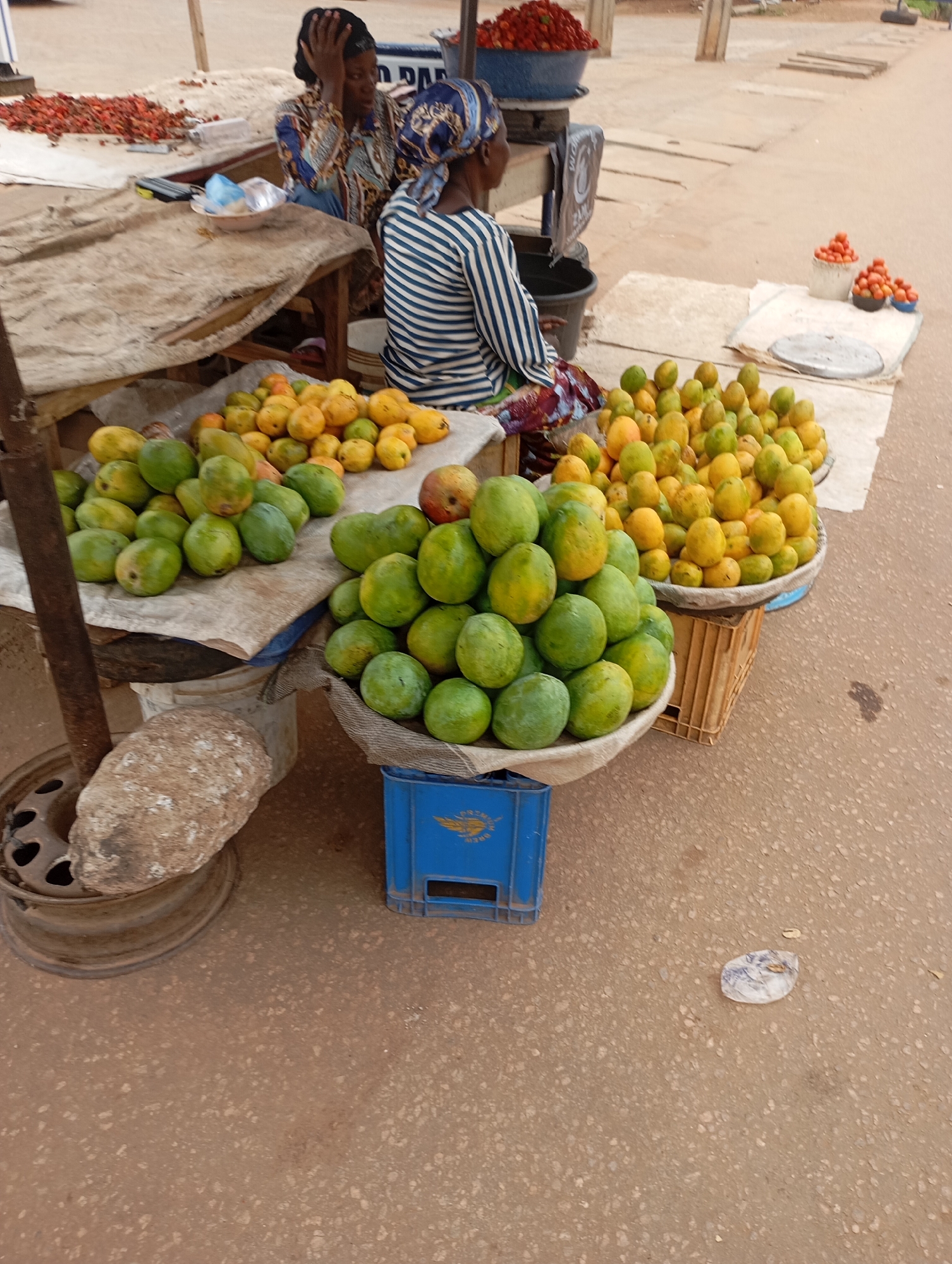 This outdoor market scene captures a vibrant display of fresh produce with two vendors in the background. In the midground, two women are seated behind a simple wooden table draped with cloth. One woman, wearing a patterned blue and brown top and a dark headscarf, is partially visible, raising a hand to her head. The other woman, seen from behind, wears a blue and white striped shirt and a blue patterned headscarf.
The foreground and midground are filled with an abundant display of mangoes. Large basins hold numerous green mangoes, while others are piled high with ripe yellow and orange mangoes. These fruit displays are positioned directly on the ground, some supported by plastic crates or wooden structures. On the wooden table to the left, a mound of red chili peppers is visible. To the right, on the paved ground, small piles of red tomatoes are arranged on white cloths.
Other objects in the scene include a black bucket, a large rock, and a metal wheel rim on the ground. A piece of crumpled white paper lies on the brown, speckled paved ground in the lower right. In the background, the ground appears sandy or unpaved. The lighting suggests it is daytime with clear weather. Visible text includes "PREMIUM BREW" with a winged logo on a blue plastic crate, and "ZAN" on a black object behind the women. The overall atmosphere conveys a bustling local market.