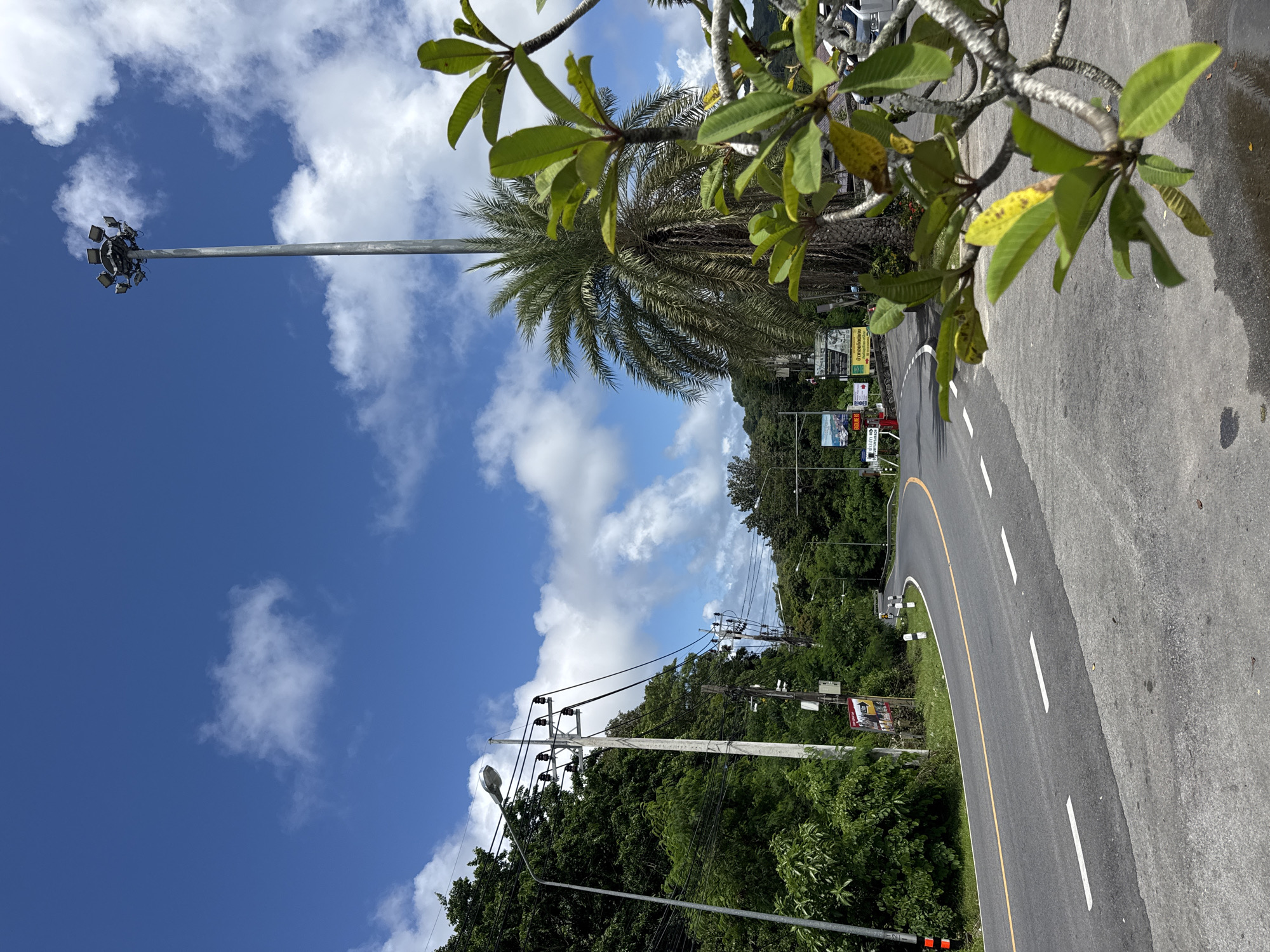 This image captures a scenic view of a road curving through a lush, tropical environment in Karon, Thailand. The road itself is paved and marked with white dashed lines and a solid yellow line, indicating a two-lane highway. The surrounding landscape is dominated by dense green vegetation, including trees and palm trees, suggesting a warm, humid climate.
A prominent tall light pole, characteristic of those used for illuminating large areas like stadiums or intersections, stands on the right side of the road, its array of lights clearly visible against the bright blue sky dotted with fluffy white clouds. Electrical utility poles with numerous wires are also present along the left side of the road, interconnected and stretching into the distance.
In the foreground, on the right, a branch of a tropical plant with vibrant green leaves and some yellowing foliage is in sharp focus, creating a natural frame for the scene. The plant's gnarled branches and textured bark are detailed, hinting at the tropical flora of the region.
Further down the road, several signs are visible on the left, some with text that appears to be in Thai script, suggesting it's a public road with directional or informational signage. The road appears to be relatively quiet, with no vehicles or people prominently featured in the immediate vicinity, although a few vehicles can be seen parked or driving in the distance on the right side of the road, further down the curve.
The overall impression is one of a well-traveled but serene road in a tropical setting, with the imposing light pole and the vibrant greenery being key elements of the composition. The lighting suggests it is daytime, likely late morning or early afternoon, given the brightness and the shadows cast.