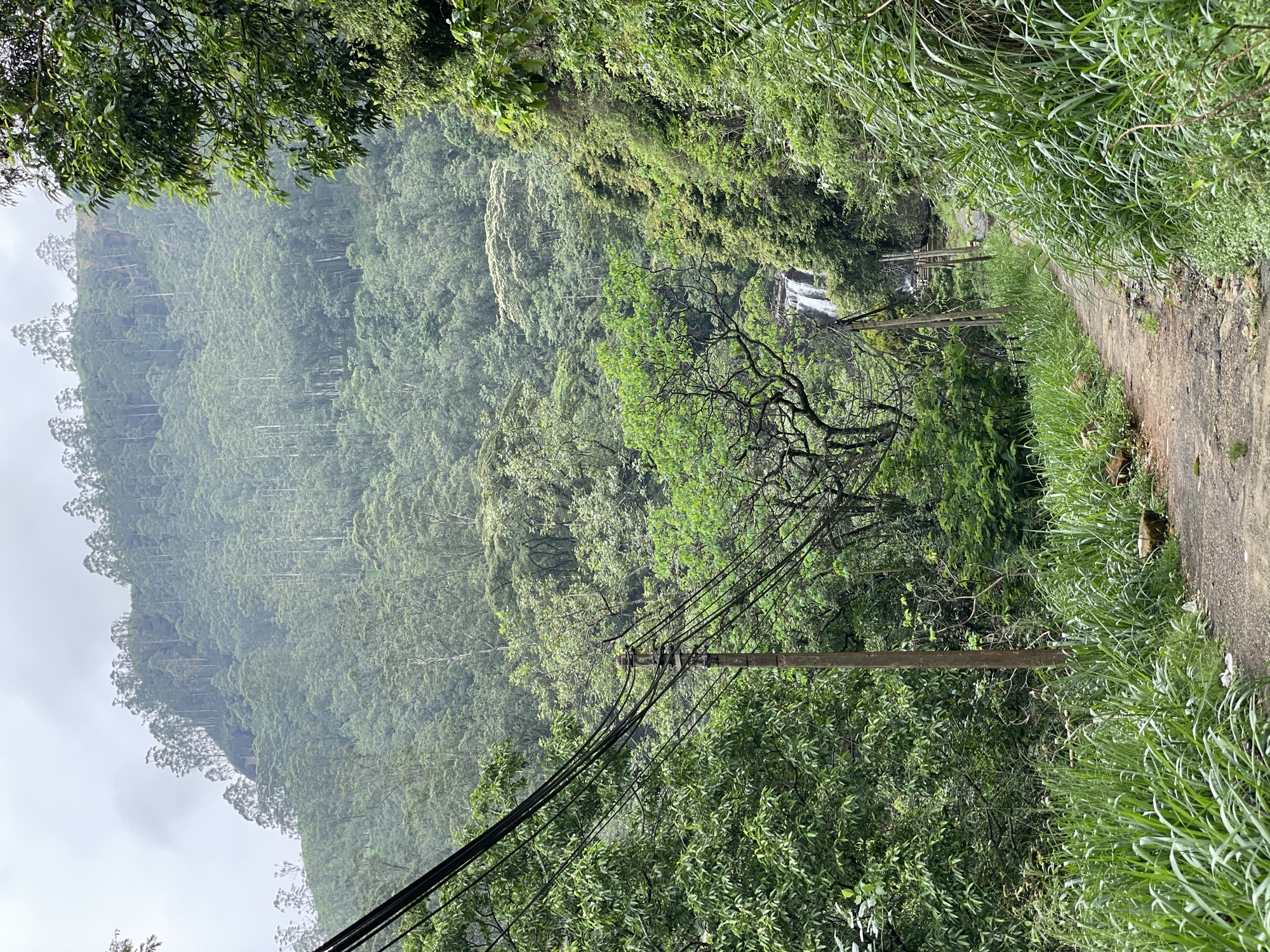 The image depicts a lush, mountainous landscape in Ramboda, Sri Lanka. A narrow, paved pathway runs along the right side, bordered by tall, green grass. Dense forest covers the hillside, featuring various shades of green. A small waterfall is visible in the distance. Utility poles and power lines cut across the view. The sky appears overcast.