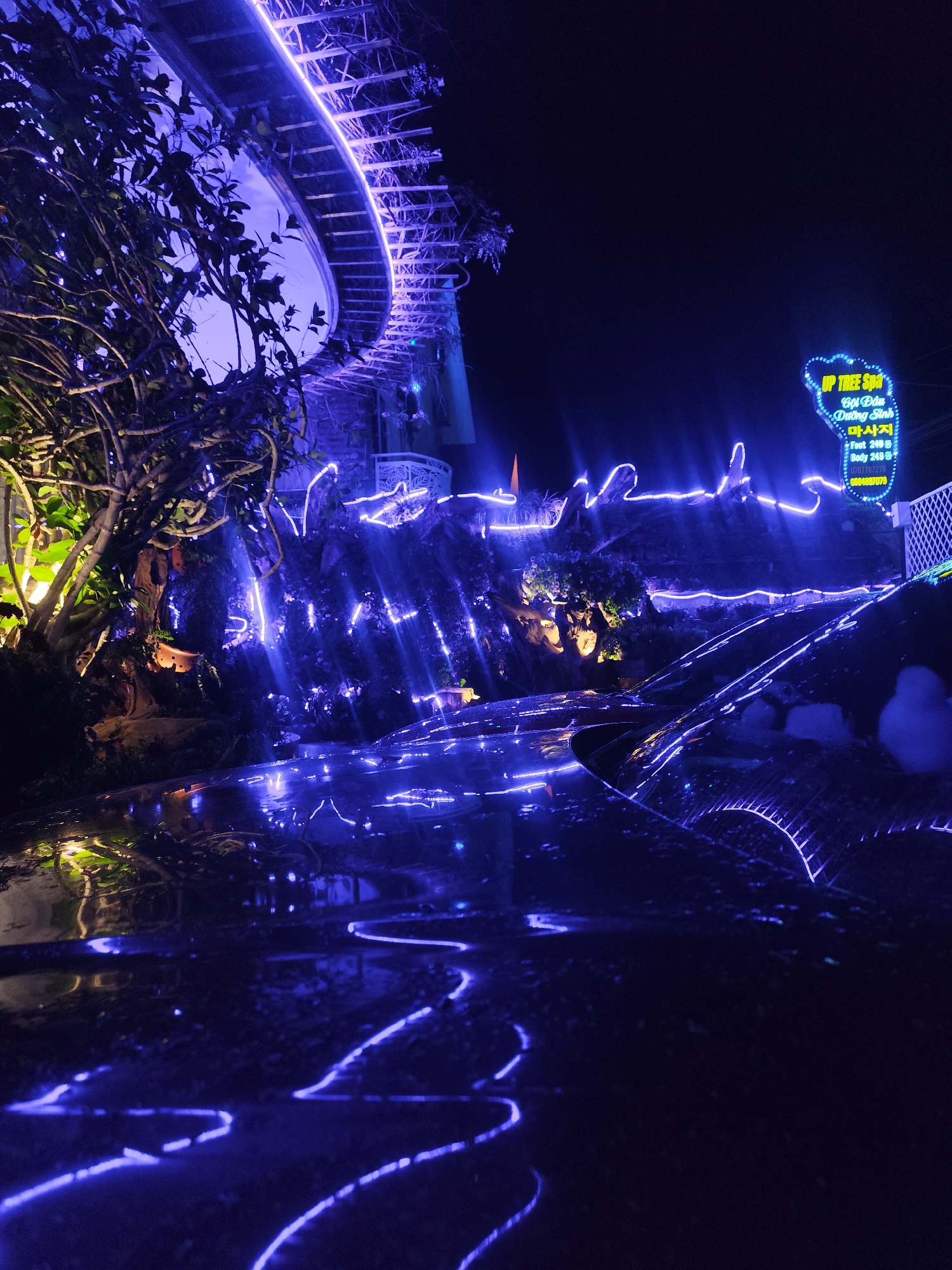 At night, a low-angle shot reveals a landscape illuminated with blue neon lights in Da Lat, Vietnam. A tree with bright green leaves is positioned on the left. Behind it is a circular structure with neon lights, appearing to be part of the architecture. In the middle, a landscaping rock feature is adorned with neon lights and vegetation. In the top right corner, a blue sign reads "Up Tree Spa." The foreground shows a wet surface, reflecting the blue lights and adding a sense of depth to the scene.