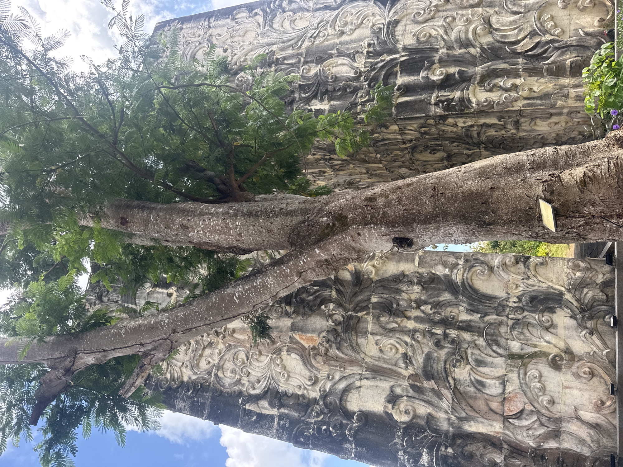 The image depicts a weathered stone structure with ornate, swirling carvings, possibly part of an old building or monument, located in Kuta Selatan, Indonesia. A large tree with a thick, textured trunk grows prominently in the foreground, its branches and green leaves obscuring parts of the stone edifice. The sky above is partly cloudy with a bright blue expanse. The stone surface shows signs of age and environmental exposure, with darker streaks and variations in color accentuating the intricate relief patterns. A small yellow sign is attached to the tree trunk. In the lower right portion of the image, some green foliage and hints of purple flowers are visible. The overall impression is one of nature reclaiming or coexisting with ancient artistry.