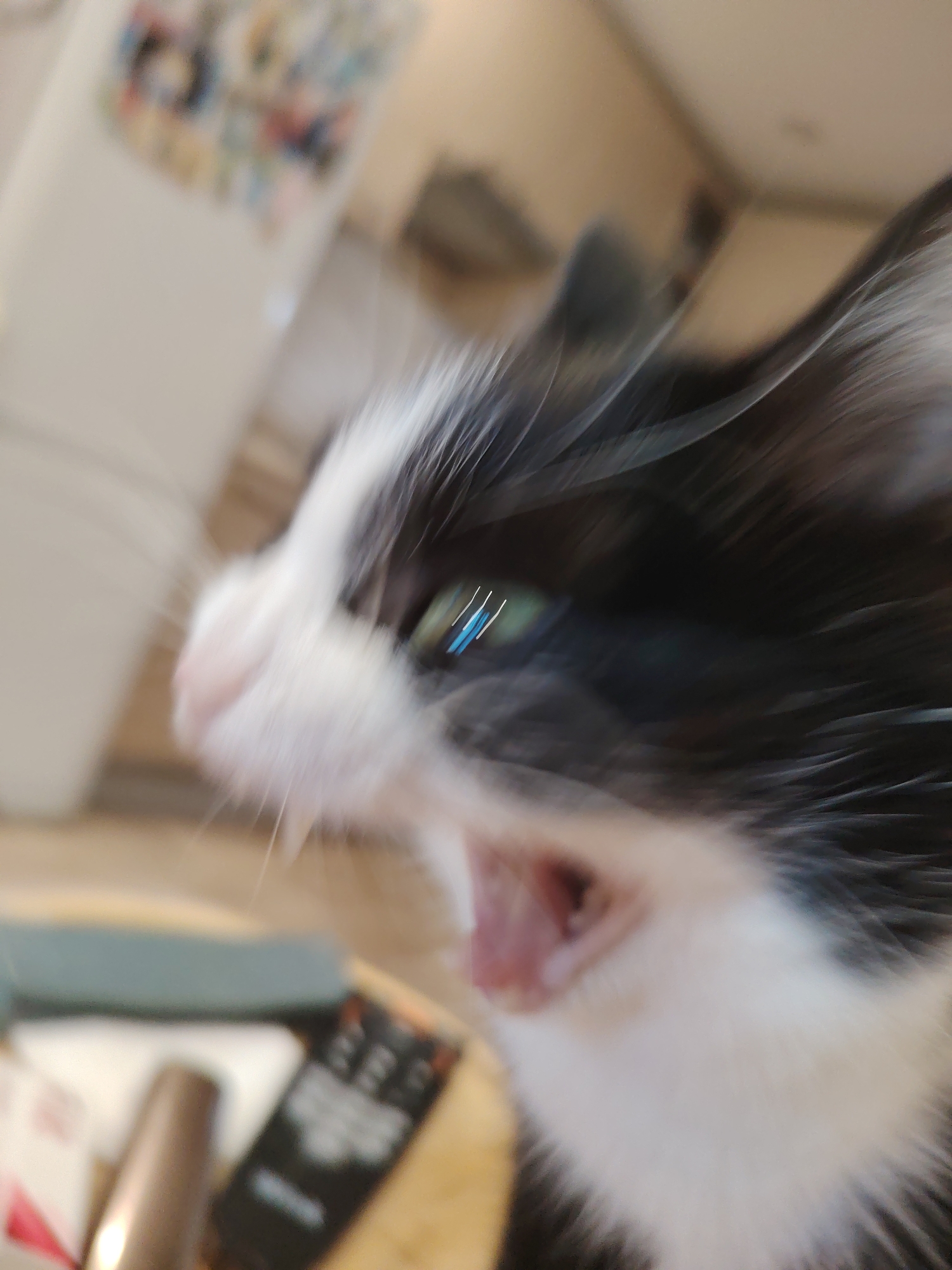 A close-up, motion-blurred photograph captures a black and white cat, likely a kitten, with its mouth wide open, suggesting a yawn or meow. The cat is positioned in the foreground, facing towards the left side of the frame, its head dominating the view. Its left eye is visible, appearing a vivid blue-green with distinct horizontal white streaks, likely an effect of motion blur. The fur on its face and neck is a mix of white and black patches, exhibiting substantial blurring across the animal, indicating rapid movement or a shaky camera.
The background is heavily out of focus. Below the cat's jaw, indistinct objects rest on a light-colored surface, including a dark, rectangular item resembling a remote control with blurred buttons, and a metallic, cylindrical object. Further into the background, a large, blurry white surface, possibly a refrigerator or wall, is visible, adorned with colorful, indistinct shapes that could be magnets or decorations. The top right background is a warm, beige-brown blur. The image conveys a sense of spontaneous action and dynamic capture. No discernible text is visible on any objects.