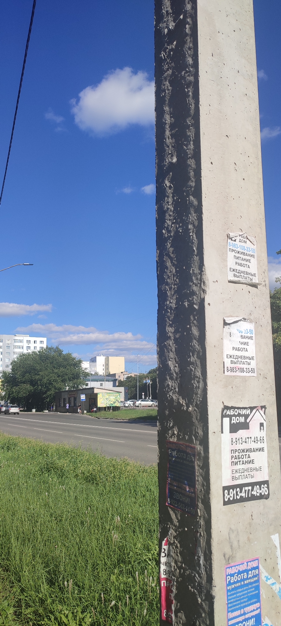 The image is a vertical, slightly angled shot of a concrete utility pole in Novoaltaysk, Russia, on a bright, sunny day with a clear blue sky and scattered white clouds. The pole is covered in several advertisements, mostly for work opportunities and housing.
On the left side of the image, a power line stretches diagonally across the blue sky. Below the sky, there is a road with cars driving on it. To the left of the road, there is a grassy area with some trees and buildings in the background, including a multi-story residential building.
The utility pole dominates the right side of the frame and is textured with rough, grey concrete. The advertisements on the pole are of various sizes and colors.
Starting from the top of the pole and moving down, the visible advertisements are:
1. A white flyer with black text that reads "РАБОТА ДОМ" (Work Home), followed by details about "ПРОЖИВАНИЕ" (Accommodation), "ПИТАНИЕ" (Food), "РАБОТА" (Work), and "ЕЖЕДНЕВНЫЕ ВЫПЛАТЫ" (Daily Payments), with a phone number "8-983-108-33-50".
2. Another white flyer, partially obscured, which appears to be similar to the first, with the text "33-50" visible at the top and "ПИТАНИЕ" and "РАБОТА" below.
3. A pink flyer with black and purple text that reads "РАБОЧИЙ ДОМ" (Working Home), and "Работа для МУЖЧИН и ЖЕНЩИН!" (Work for Men and Women!). Below this, there are details about "ПРОЖИВАНИЕ" (Accommodation), "РАБОТА" (Work), "ПИТАНИЕ" (Food), and "ЕЖЕДНЕВНЫЕ ВЫПЛАТЫ" (Daily Payments), with a phone number "8-913-477-49-66".
4. A dark flyer with red and white text, partially obscured by the pole's texture and shadows, containing the word "ЗВОНИ" (Call) and a phone number "8-923-562-14-99". This flyer appears to have "РАБОТА ДОМ" at the top.
5. A pink flyer at the bottom, also featuring the title "РАБОЧИЙ ДОМ" and "Работа для МУЖЧИН и ЖЕНЩИН!". This flyer is further obscured, but some text about living conditions and work is visible.
The grassy area in the foreground is lush and green, with some weeds and tall grass stalks. There are no people clearly visible on or interacting with the utility pole. The overall scene depicts an urban environment with utilitarian infrastructure and informal advertising.