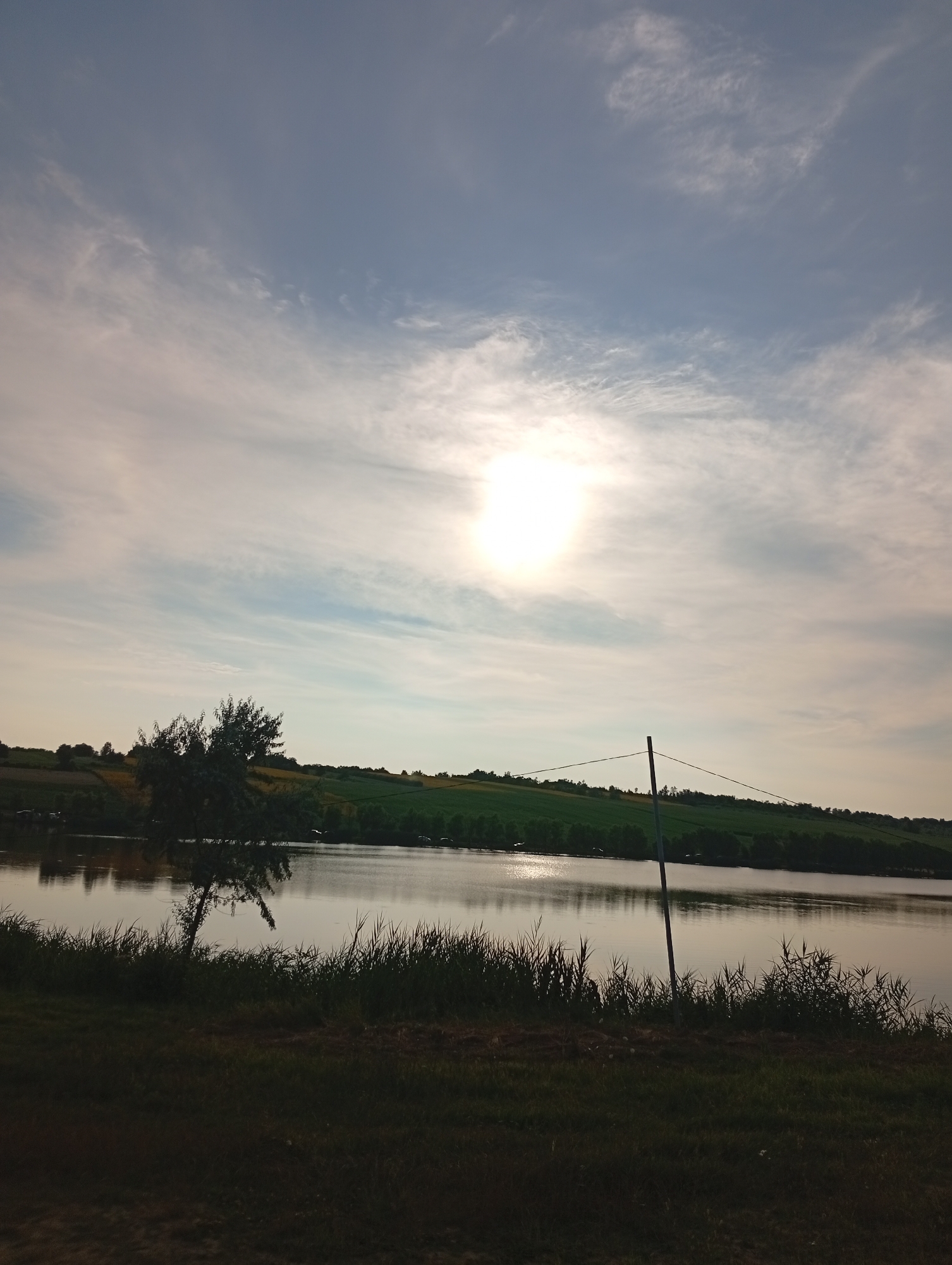 The image depicts a wide, calm body of water reflecting a pale sky with scattered clouds. A bright sun, partially obscured by clouds, is visible in the upper center of the frame, casting a soft glow. The shoreline in the foreground is lined with dark green grass and reeds. Across the water, a gentle, rolling hill covered in lush green vegetation and scattered trees forms the landscape. A solitary, leafless tree stands on the left bank, its silhouette stark against the water. A thin, dark pole with a wire attached is planted on the right side of the image, extending towards the horizon. The overall impression is one of a serene, rural setting in Găleștii Noi, Moldova, likely during the late afternoon or early evening. No people or discernible animals are visible.
