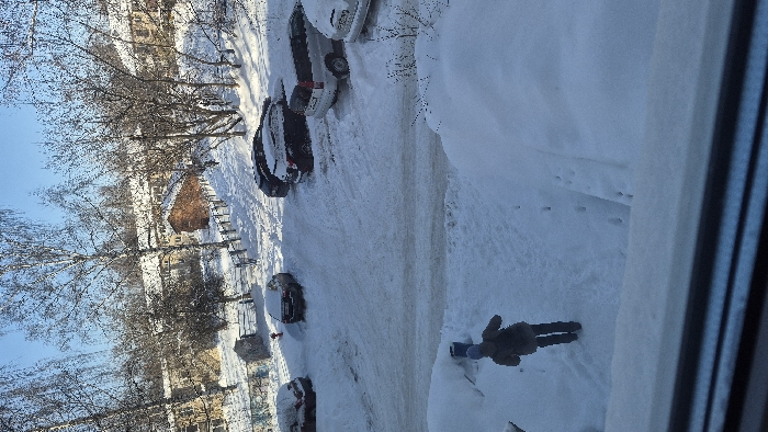 The image presents a snow-covered urban environment in the city of Chaikovsky, Russia, under a clear, bright sky. Deep white snow covers the ground, parked vehicles, and building roofs. In the foreground, viewed through a window frame, a single individual is observed from behind, walking towards the upper left through undisturbed snow. This person wears a dark jacket, dark trousers, and a light-colored hat, leaving distinct footprints in the snow.
The midground features a snow-covered road or parking area with visible tire tracks. Multiple vehicles are parked and coated in snow, including a dark-colored SUV positioned near a red fire hydrant on the left, several other dark and light-colored cars, and a light-colored minivan on the right.
The background consists of numerous bare deciduous trees, primarily birches, framing multi-story residential buildings with snow-covered roofs. A prominent reddish-brown brick building is also visible among the trees and apartment blocks. A snow-covered path or slope, bordered by a fence, ascends towards the background structures.