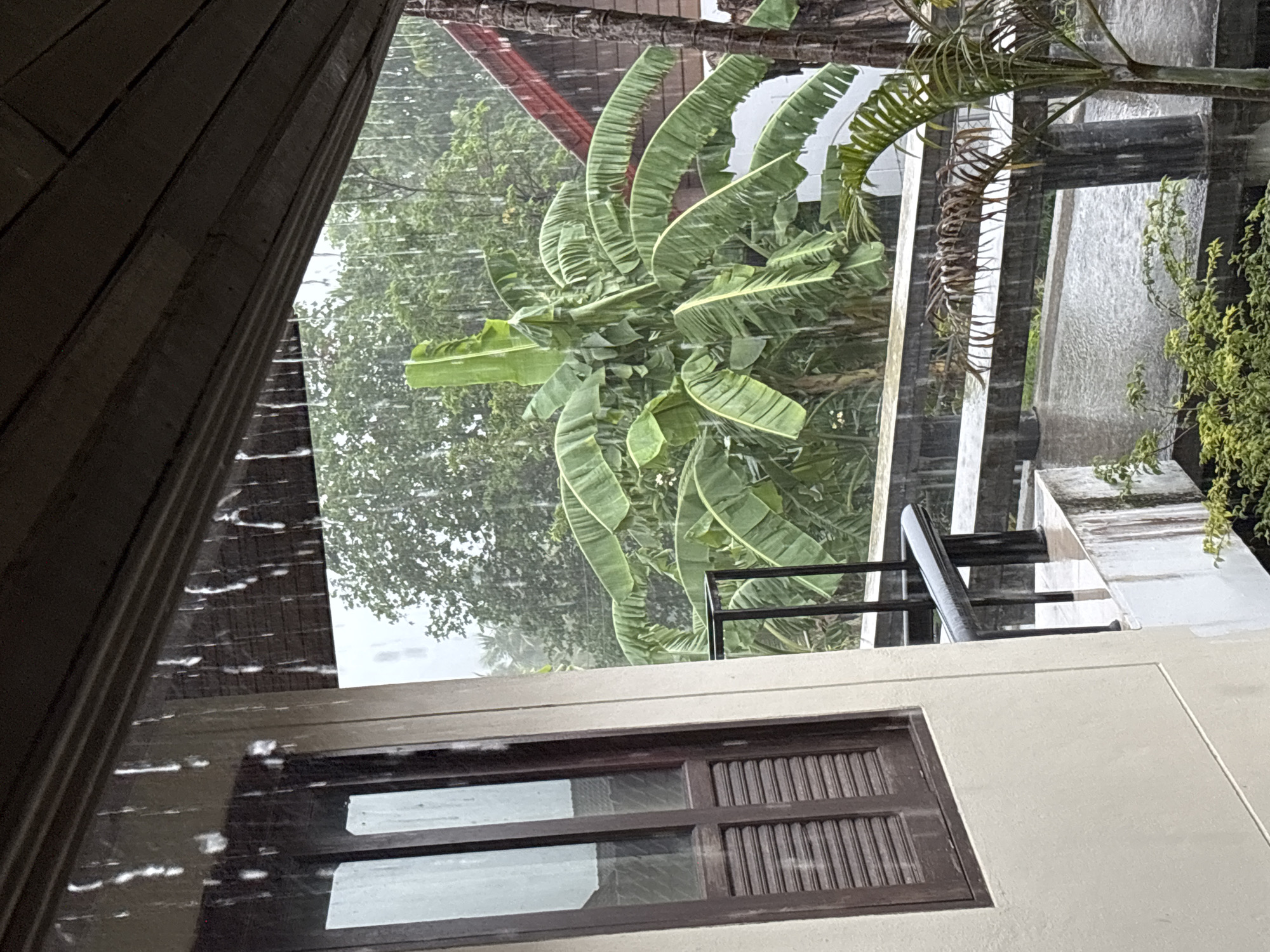 The image depicts a rainy day scene from a covered outdoor area, likely a balcony or veranda, looking out at lush tropical foliage. In the foreground, a portion of a building wall and a wooden-shuttered window are visible on the left. The roof structure of the covered area, made of wooden planks, is overhead. Rain is actively falling, with visible streaks and droplets creating a blurred effect, particularly on the window pane and in the air.
Beyond the immediate structure, a large banana tree with broad, green leaves dominates the view, its fronds appearing heavy and bent under the weight of the rain. Other trees and dense green vegetation fill the background, suggesting a tropical or subtropical environment. A red-tiled roof of a building can be seen peeking through the trees on the right side of the frame. A black metal railing runs along the edge of the covered area, with a concrete ledge and pillars supporting the structure above. The ground or walkway below is wet and appears to have accumulated water, reflecting the environment. A palm plant with dry fronds is visible in the lower right. The overall atmosphere is one of a downpour in a natural, verdant setting. This scene is consistent with the environment found in Ban Bang Rak, Thailand, known for its tropical climate and abundant vegetation, especially during monsoon season. No people are present in the image.