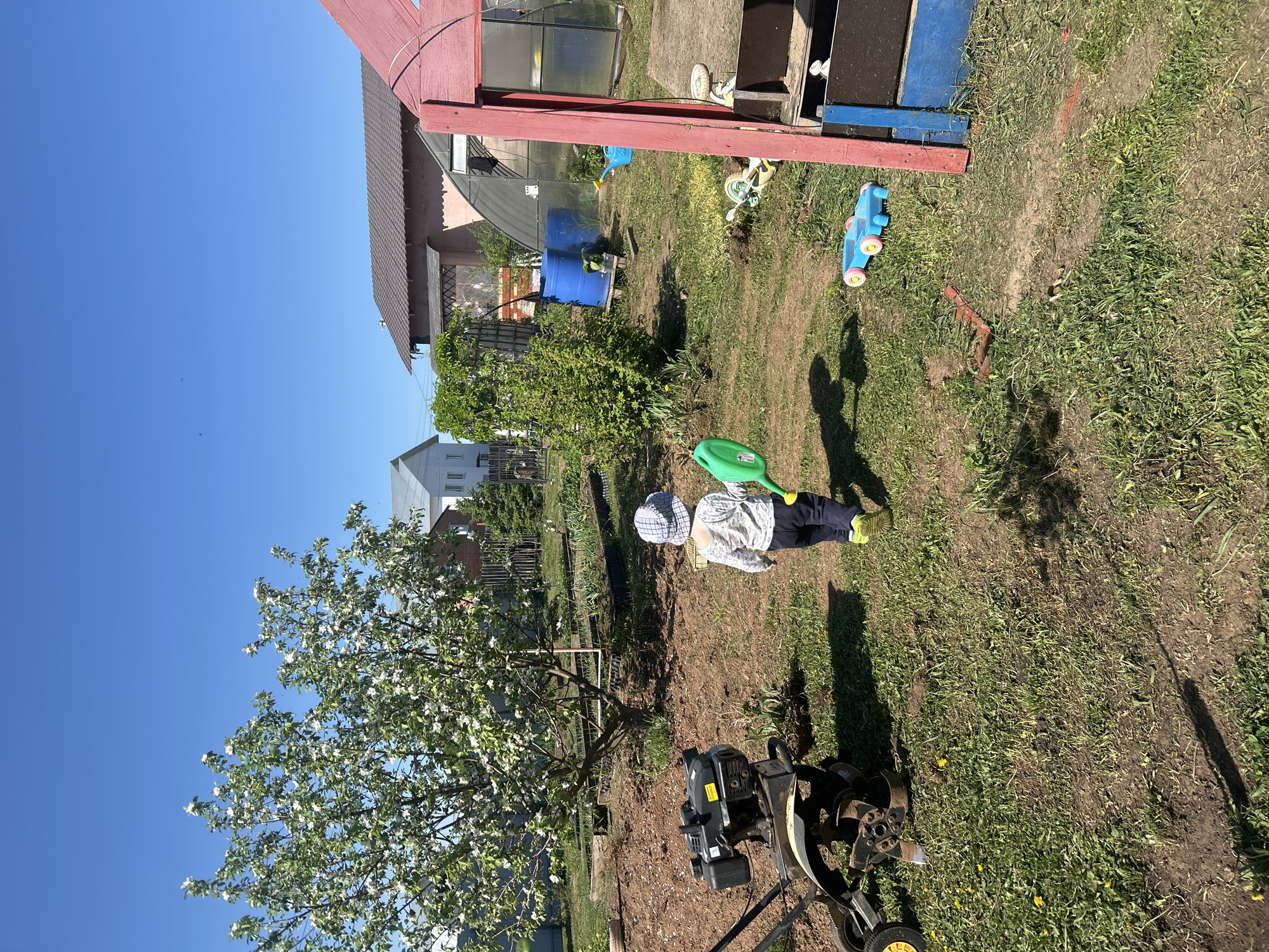 A medium-angle shot shows a child playing with a green watering can in a yard on a sunny day in what appears to be Ольховка, Russia. The child is lying on the ground wearing a light-colored patterned shirt, dark pants, a plaid hat, and lime green shoes.
To the left of the child and closer to the foreground is a blooming tree, and next to it is a black and yellow tiller. The ground is a mix of bare earth and grass. In the background, there is a greenhouse, a blue barrel, various structures including a house, a fence, and other vegetation. A red wooden structure stands on the upper right. A blue toy truck is nearby. The sky is clear and blue.