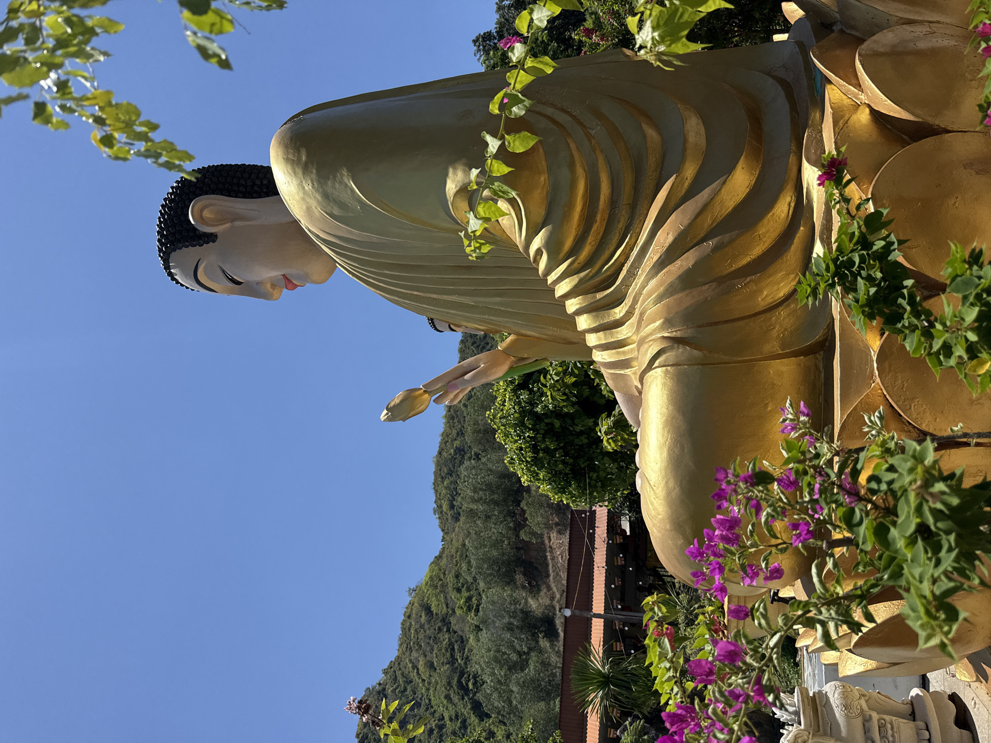 An outdoor, eye-level, medium shot captures a large, golden, seated Buddha statue in a garden setting. The statue, positioned on a golden lotus base, is oriented in profile to the right. Its serene face features closed eyes, a subtle smile, and red lips. The Buddha is draped in golden robes, with one hand held near its chest, gently cupping a closed lotus bud. Lush green foliage and vibrant purple bougainvillea flowers surround the base of the statue, partially obscuring it from view. In the background, a verdant, tree-covered mountain rises under a clear blue sky. A building with a red roof and some decorative flags is visible nestled at the base of the mountain. The scene appears to be located in a temple or a similar spiritual site. The specific location in Bac Nha Trang Ward, Vietnam, is not explicitly discernible from the visual elements alone but is stated as context.