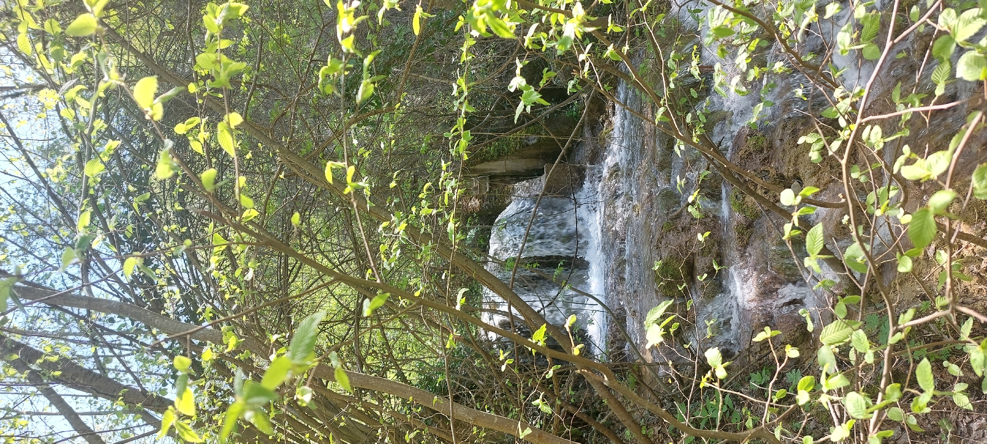 The image depicts a waterfall cascading over rocks, partially obscured by tree branches with green leaves. The location is likely near the Бачковски манастир in Bulgaria, suggested by the natural environment. The water is flowing rapidly, creating a blurred effect. The surrounding vegetation is dense and lush. The lighting suggests it's daytime, with sunlight filtering through the trees.