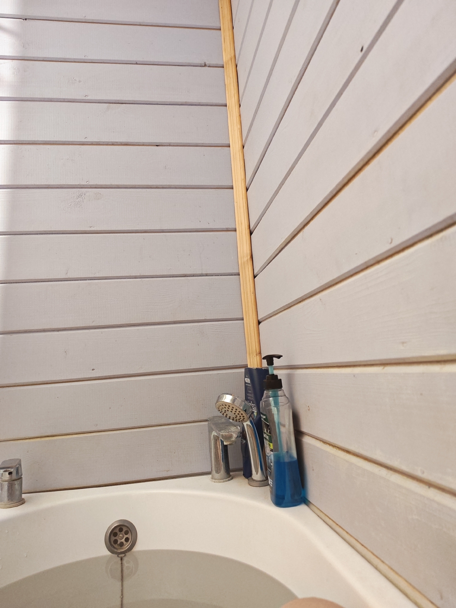 The image shows a bathtub with a silver faucet and drain in the foreground. The walls of the room are paneled with horizontal wooden planks painted white. To the right of the bathtub, there is a clear plastic bottle with blue liquid, likely shampoo or body wash, and a silver shower head. A wooden pole is visible along the corner where the two walls meet. The scene appears to be in a bathroom. The location is specified as Dyatlitsy, Russia.