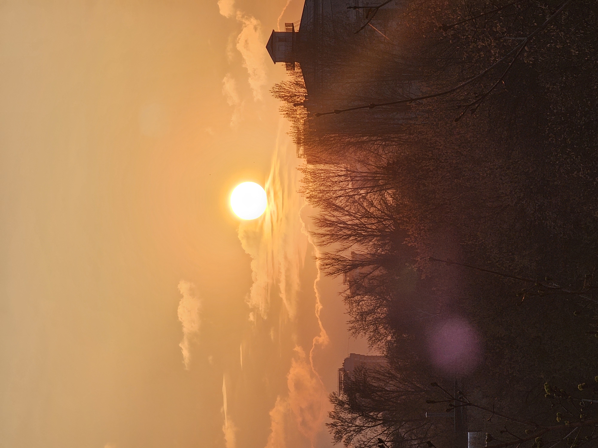 The image displays a vibrant sunset or sunrise scene, characterized by a dominant palette of warm orange and yellow. The sun, a brilliant, almost white disc, is positioned low in the sky on the left side of the frame (when viewed in standard landscape orientation). The sky is hazy with scattered clouds, which catch and reflect the golden light.
Along the horizon in the midground, a line of trees with bare branches forms a dark silhouette, suggesting a seasonal period such as late autumn, winter, or early spring. Interspersed among the trees are silhouettes of buildings. A notable structure on the left features a distinctive small, possibly elevated, section on its roof. Other buildings are faintly visible in the distance, further contributing to the urban or suburban setting.
A prominent purple lens flare is visible in the bottom right corner of the image, and subtle light streaks emanate from the intense brightness of the sun. The overall impression is one of serene beauty during the golden hour. No text is visible in the image.