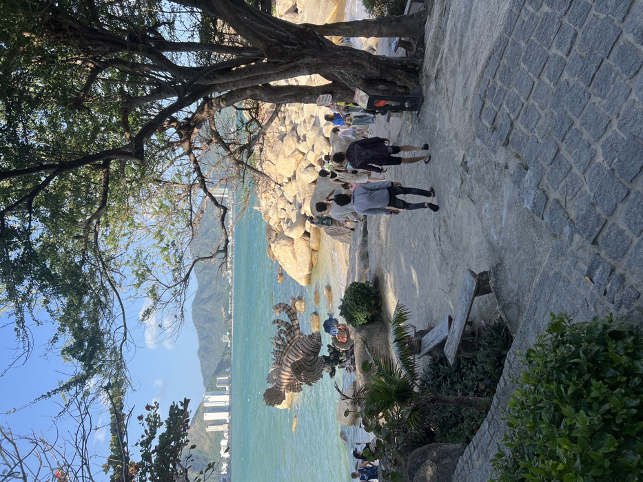 The image depicts a vibrant coastal scene in Nha Trang, Vietnam. The foreground features a light-colored, uneven paved path and a set of grey cobblestone steps leading downwards, bordered by green bushes. Several rustic wooden benches are positioned along the path. A group of approximately 15 individuals, including adults and at least one child, are visible. Most are walking away from the viewer along the path toward the water, with two men in the immediate foreground, one in a light blue shirt and dark pants, and another in a dark patterned shirt and shorts.
The midground reveals a rocky shoreline composed of large, smooth, light-colored boulders, with patches of sand at the water's edge. The turquoise-colored sea extends across the middle of the frame, appearing calm. Partially submerged in the water, near the rocks, is a large, elaborate metal sculpture resembling a lionfish, with prominent fins and spines. Smaller, blue-colored fish sculptures are visible near its base. Several people are standing near the sculpture and the water, some appearing to observe or photograph it; one person on the far left is seen holding a phone and wearing a white face mask.
The background showcases the city of Nha Trang, with multiple tall white buildings (skyscrapers) rising above the coastline. Behind the city, a range of green mountains stretches across the horizon under a clear blue sky. Large trees with dense green foliage frame the scene from the top and right, casting dappled light and shade. A dark-colored signpost or information stand is situated near a tree trunk on the right side of the path.