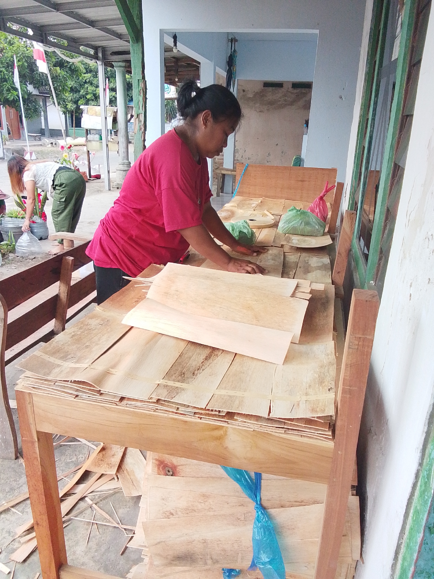 In Bulurejo, Indonesia, a woman with her hair pulled back in a ponytail, wearing a red t-shirt and dark pants, is working at a wooden table. She is focused on handling thin, light-colored wooden sheets. The table is covered with stacks of these sheets, some of which are bound together with thin straps. There are also green and pink plastic bags on the table. In the background, another woman wearing a white shirt and green pants is tending to plants in a pot, holding a large clear plastic bag. The scene appears to be outdoors, possibly under a covered area with a corrugated roof. Indonesian flags are visible in the background. The overall environment suggests a workshop or a domestic setting where woodworking or craft activities are taking place.