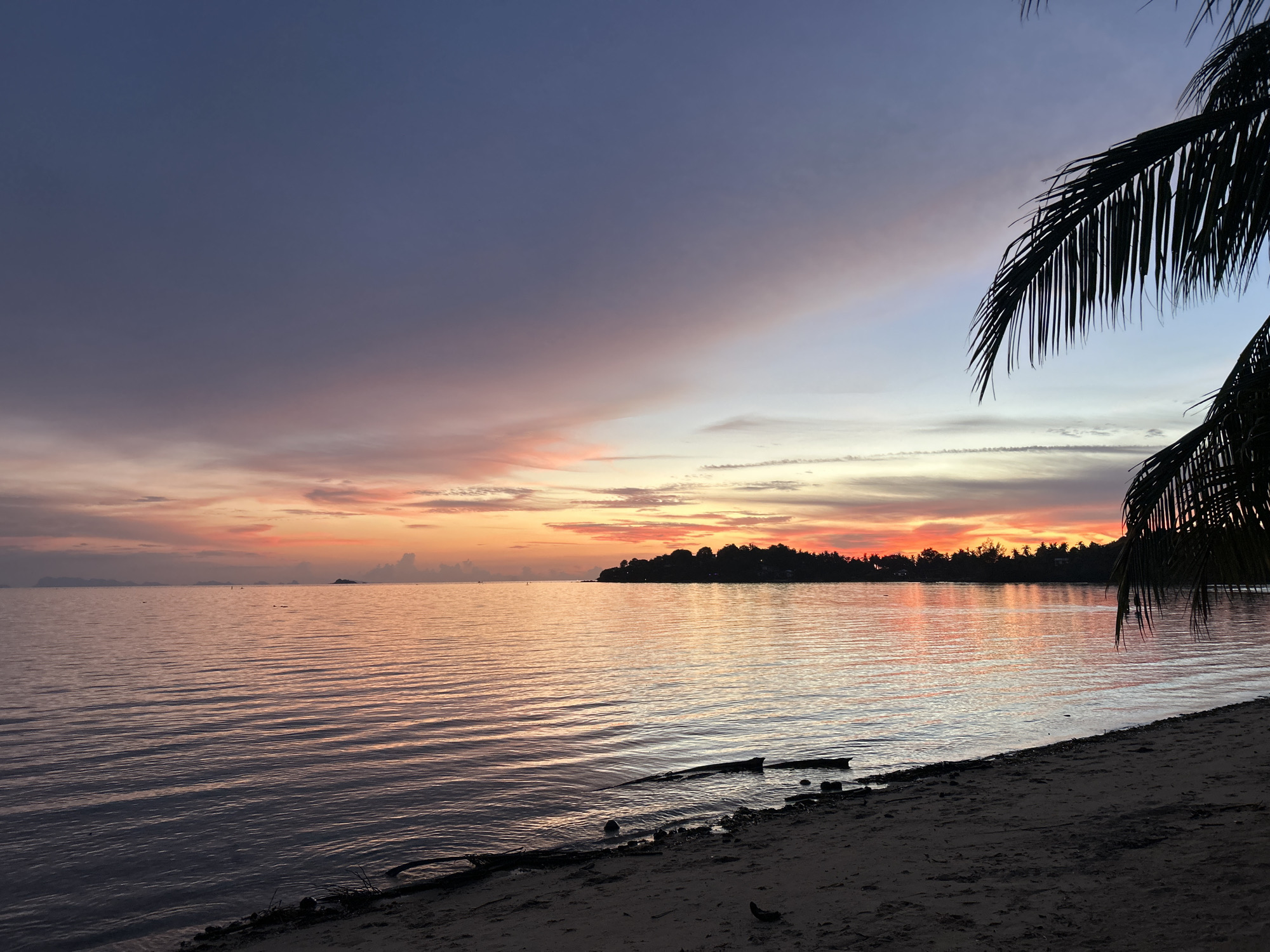 The image depicts a sunset scene on the beach of Ko Pha-ngan District, Thailand. The sky is filled with a gradient of colors, transitioning from deep purple at the top to shades of pink, orange, and yellow closer to the horizon. A palm frond is silhouetted against the sky on the right side of the frame. The calm ocean reflects the vibrant colors of the sunset, with gentle ripples on its surface. In the distance, a landmass with a silhouetted tree line is visible, along with a small island. The foreground shows a sandy beach with some driftwood and debris scattered on it.