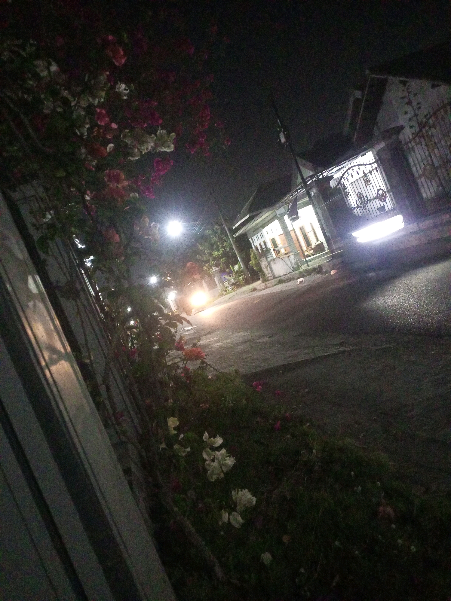 The image depicts a street scene at night in Ngasem, Indonesia, likely a residential area. The foreground is dominated by a tall, corrugated metal fence on the left, with a row of flowering plants, including bougainvillea with pink and white blooms, growing alongside it. The street is paved and appears wet, reflecting the light. A motorcycle with its headlights on is visible on the road, moving away from the viewer. Across the street, a house with an ornate metal gate is illuminated. The house has a white facade and is set back from the road. A street light casts a bright glow on the scene. The overall impression is of a quiet, suburban night.