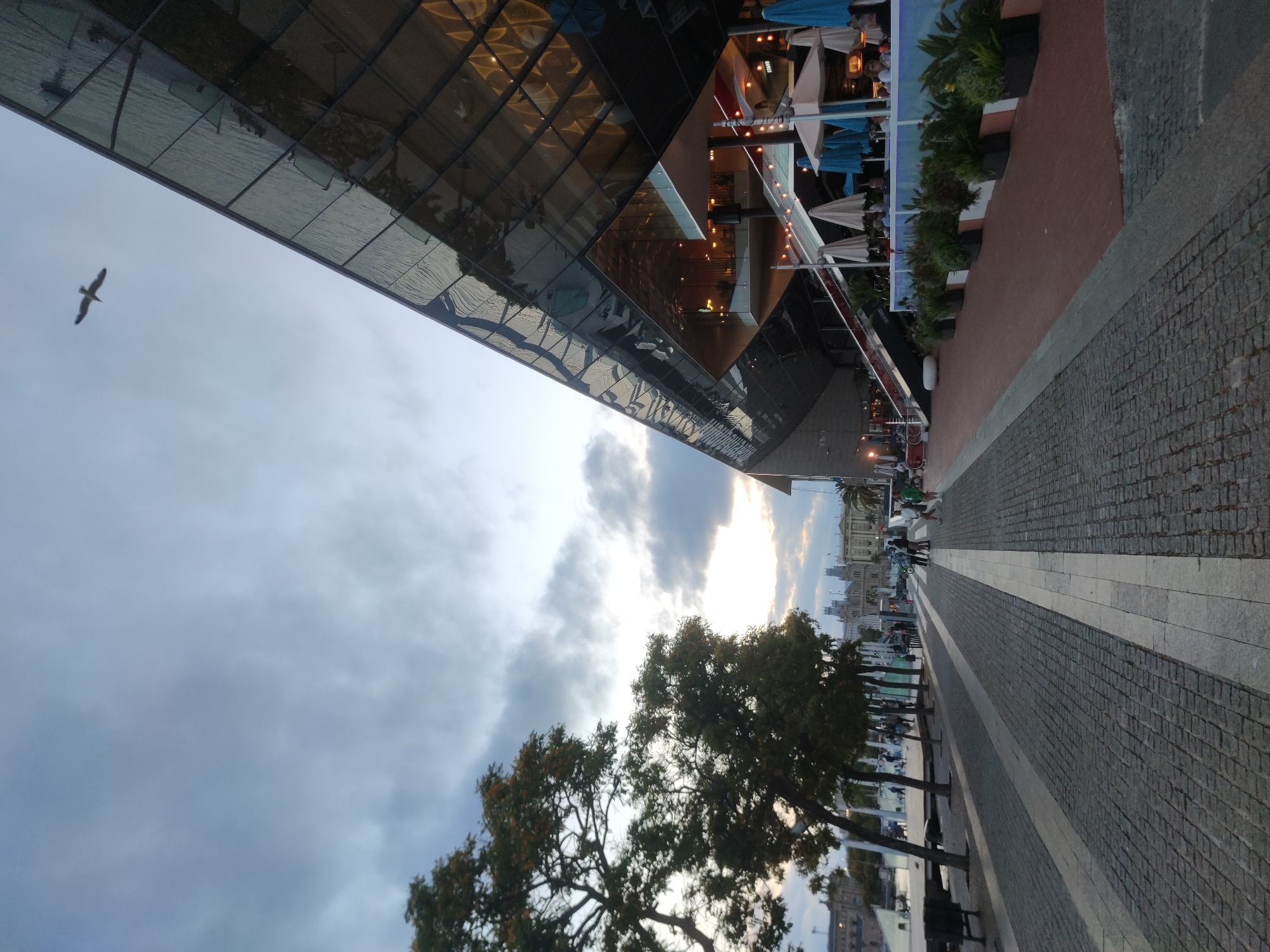A wide-angle, low-angle exterior shot captures a waterfront promenade adjacent to a modern glass-and-metal building, likely in Barcelona, Spain, during twilight. The sky is overcast with scattered clouds, and the sun is setting, casting a warm glow on the horizon. A single bird is in flight in the upper portion of the frame, silhouetted against the sky.
The building, which occupies the right side of the image, features a striking, angular design with extensive glass facades reflecting the sky and surrounding environment. Multiple levels are visible, with staircases, balconies, and outdoor seating areas. Umbrellas, both open and closed, are set up on a patio area, suggesting a dining or leisure establishment. Lights are on inside the building, illuminating the interior spaces.
The promenade itself is paved with cobblestones, divided by a white line. Trees with green and yellowing foliage line the left side of the promenade, casting shadows. In the distance, the cityscape is visible, with classical-looking buildings and towers.
Several people are present on the promenade. On the left, near the water's edge, a few individuals are seated on benches or standing. Further down the promenade, a group of people are gathered and conversing. A few individuals are also visible on the patio of the building. The overall atmosphere suggests a pleasant evening gathering in an urban waterfront setting.